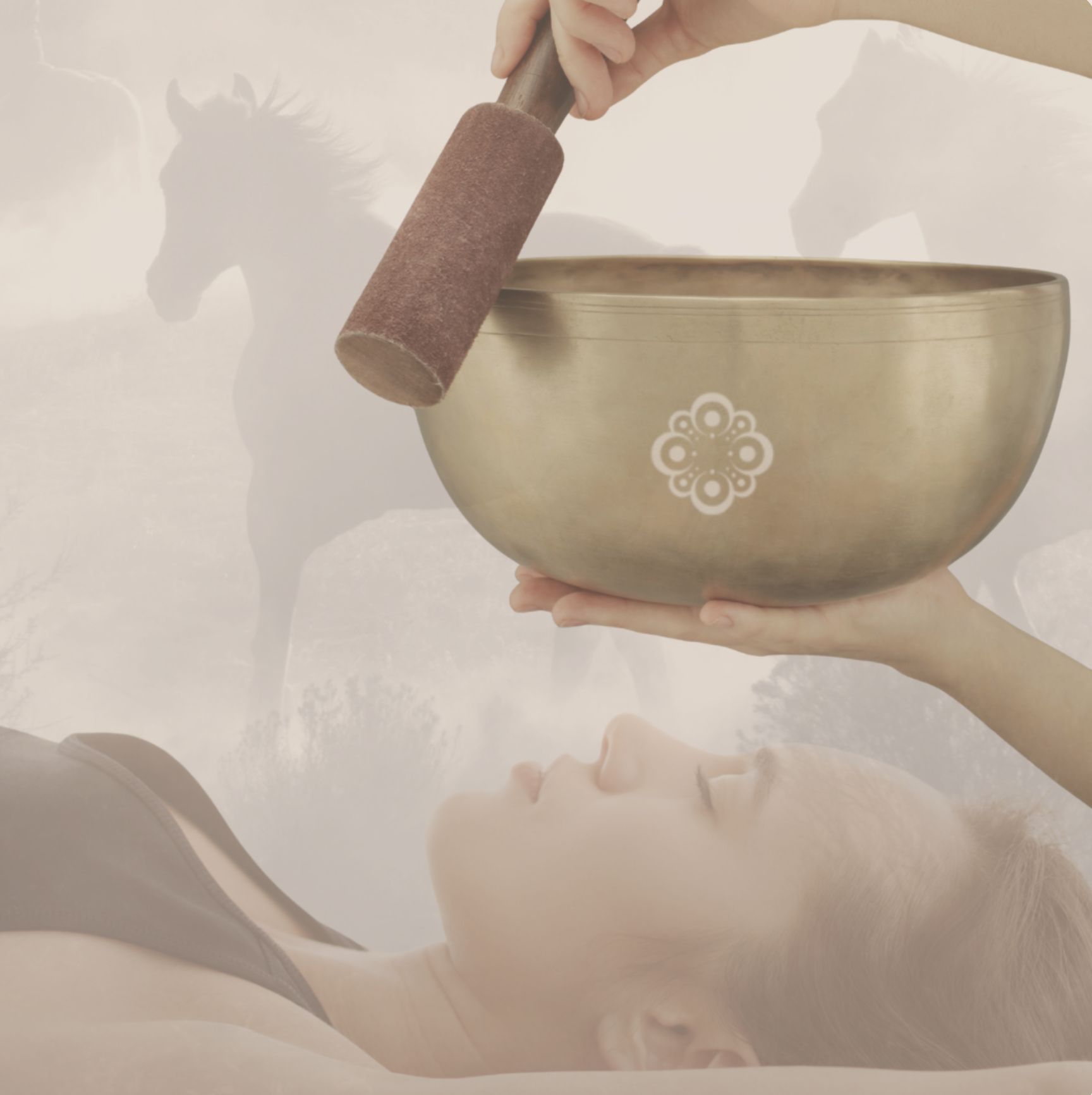 Sound Healing with Horses 