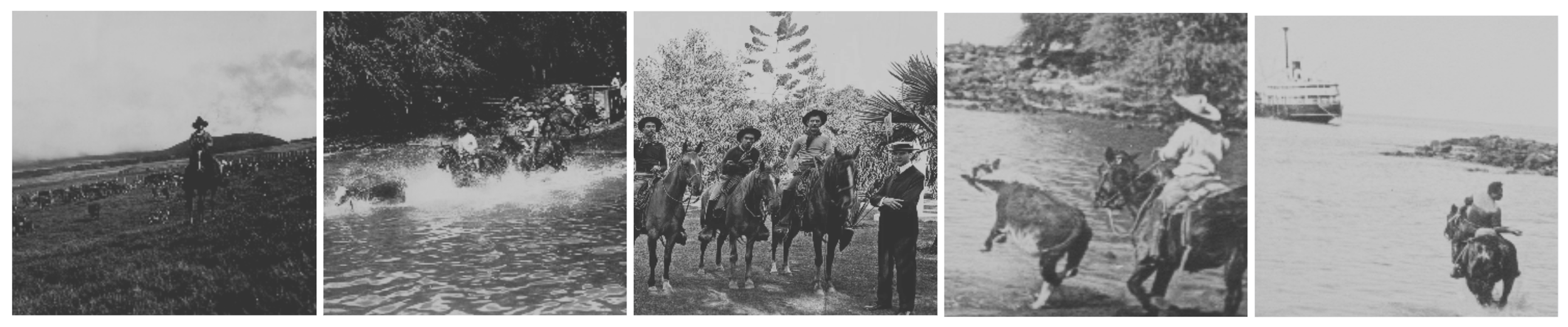 The 1832 Ethos: Teamwork, Discipline, and Grace from Hawaii’s Paniolo Legends