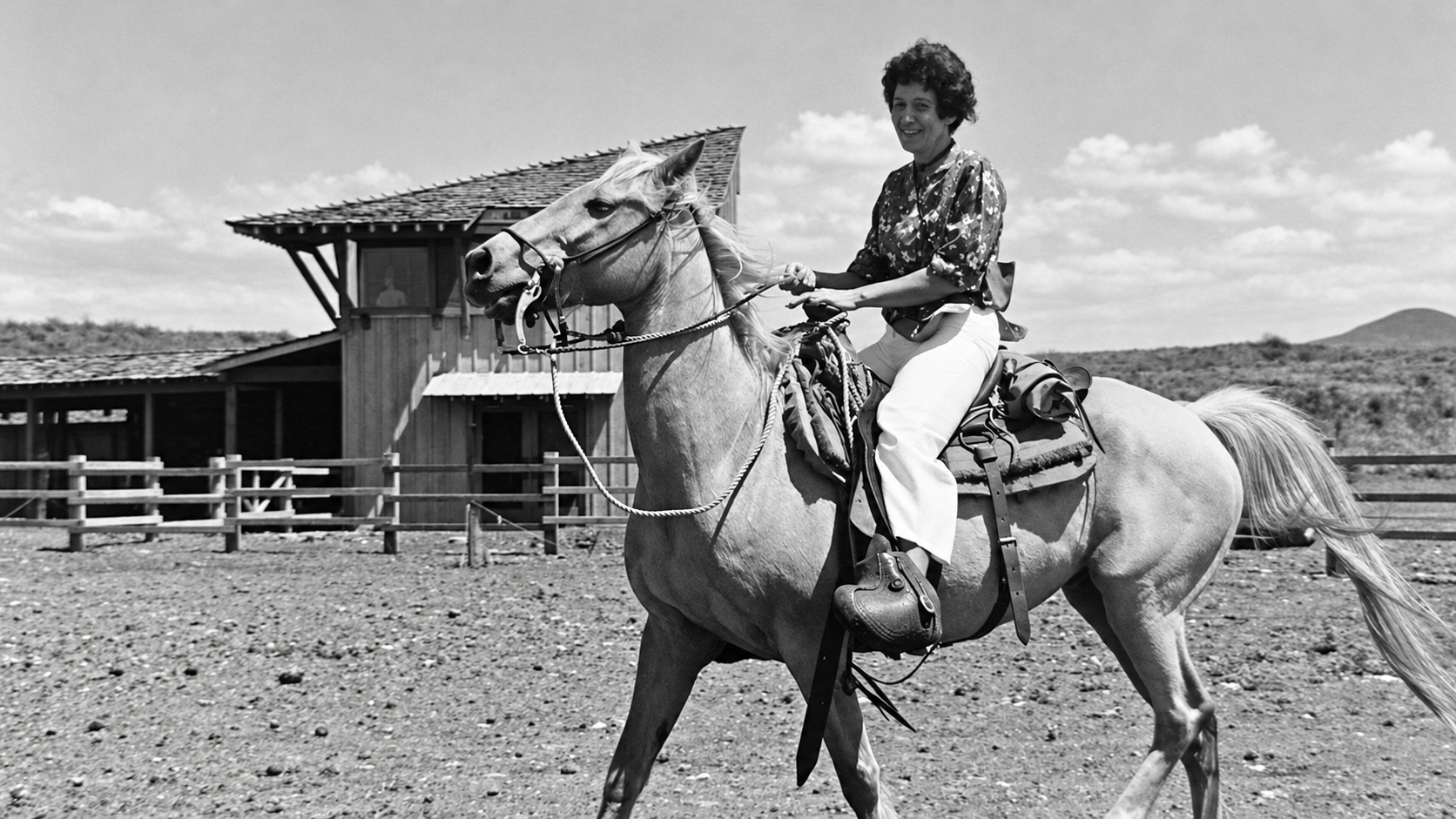 02-Horse-and-Rider.png