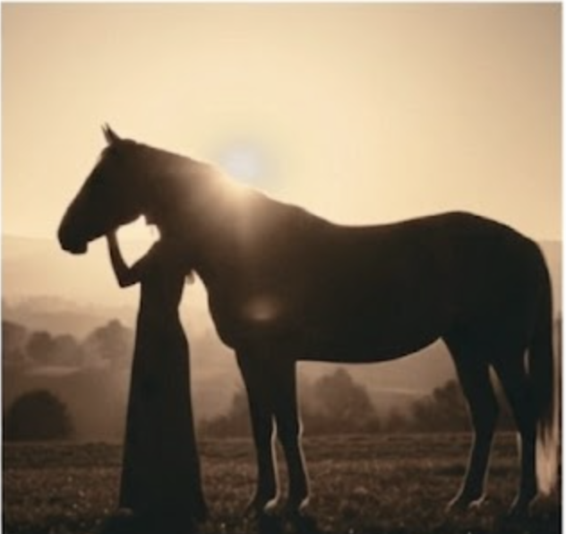 Sunrise at the Stables