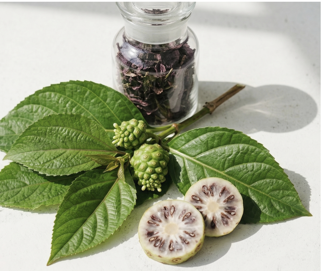 Noni deeply nourishes and rejuvenates the skin with powerful antioxidants that strengthen and restore vitality. 