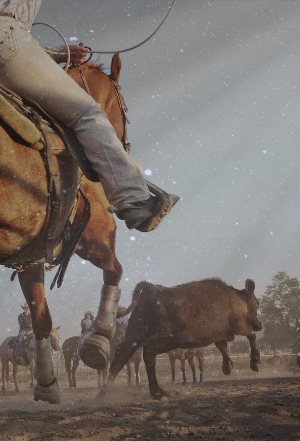 Cowboy riding a bucking bull under a starry night sky at a rodeo event.