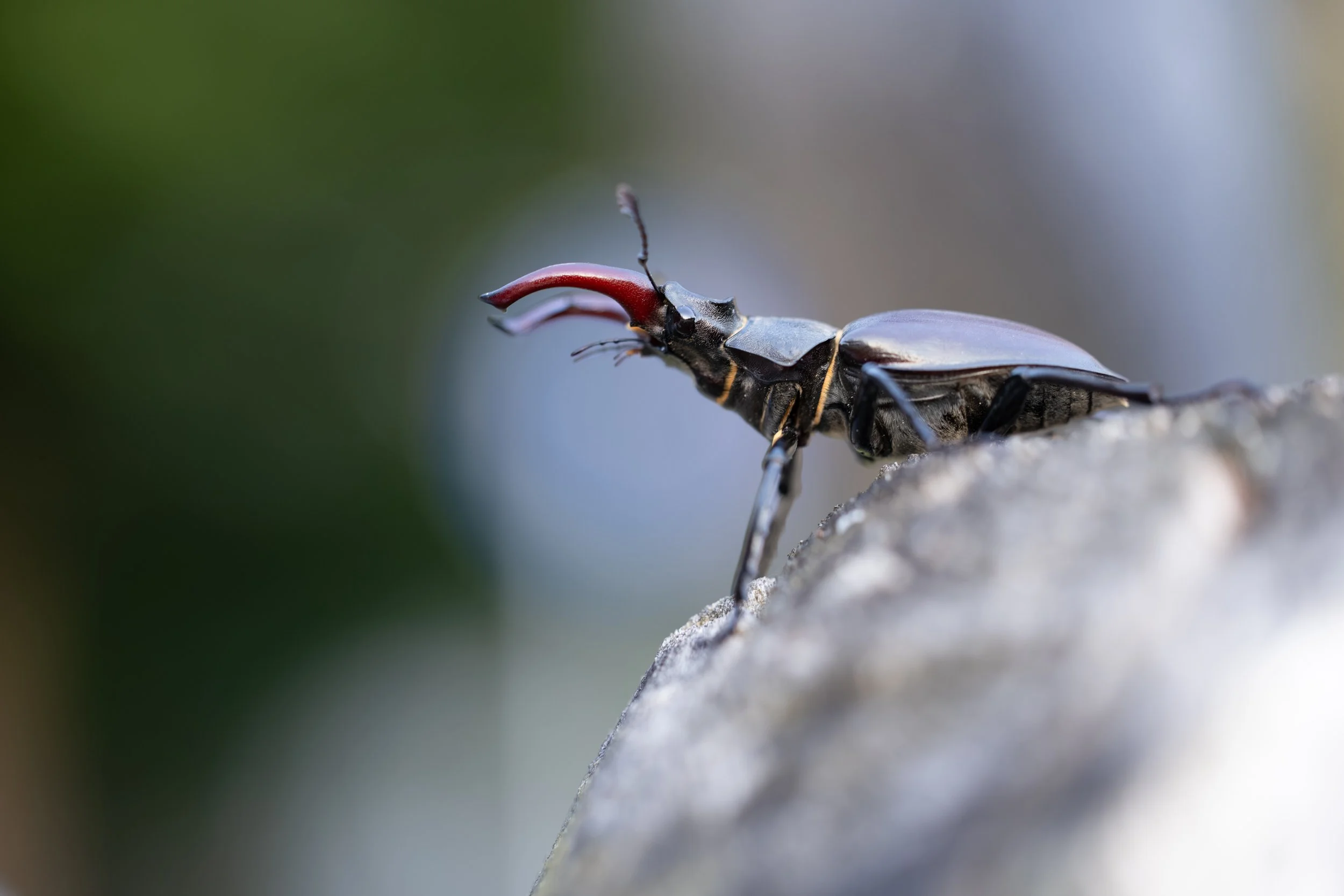 _14A0430.jpg