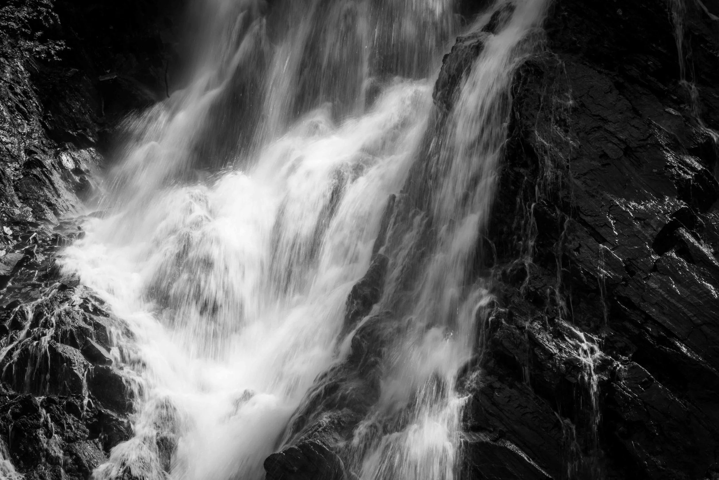 _14A0532.jpg