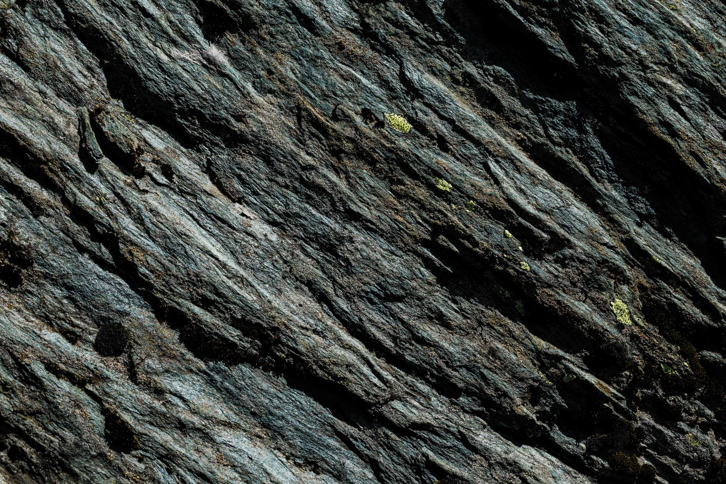 _66A6364.jpg