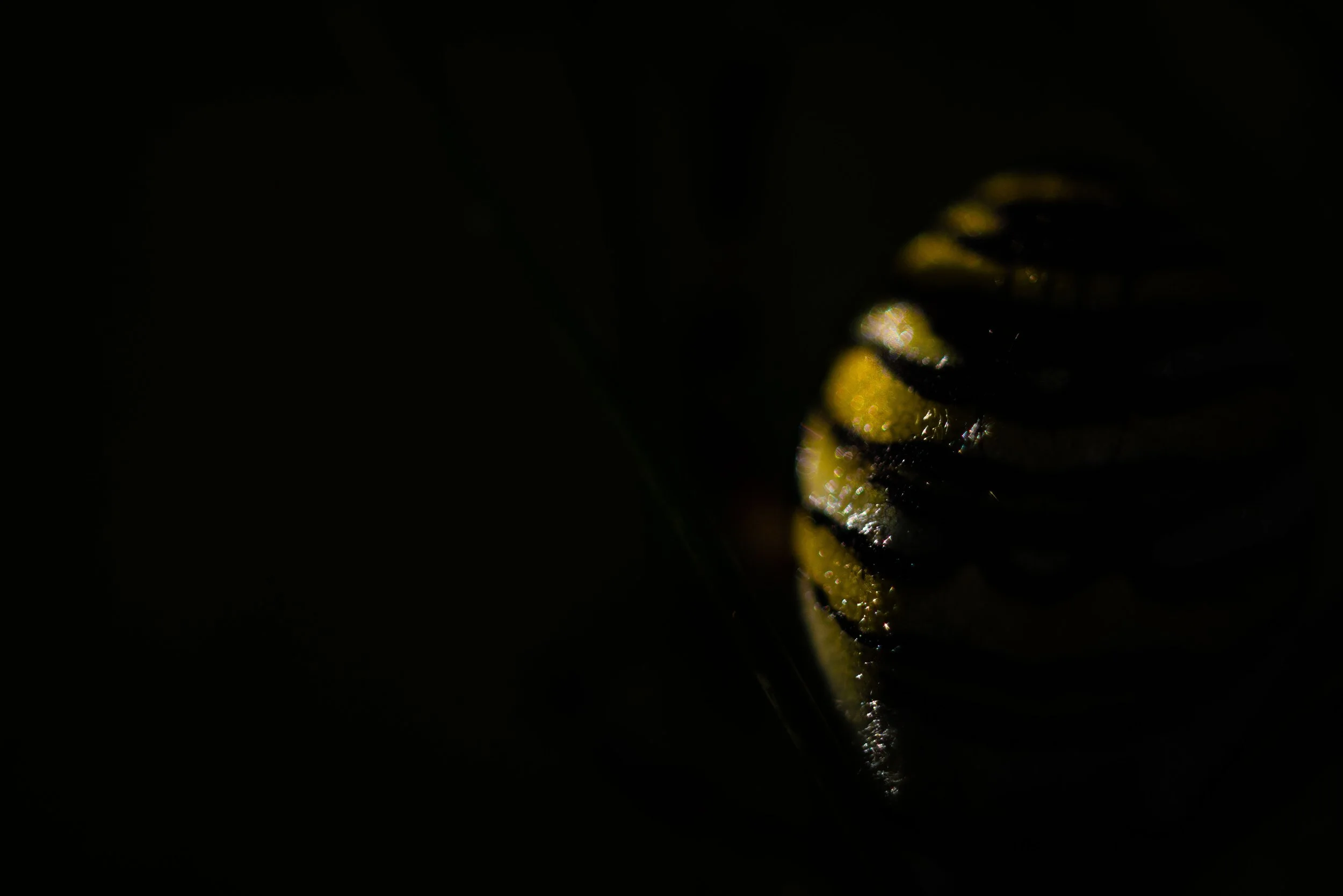 _14A0219.jpg