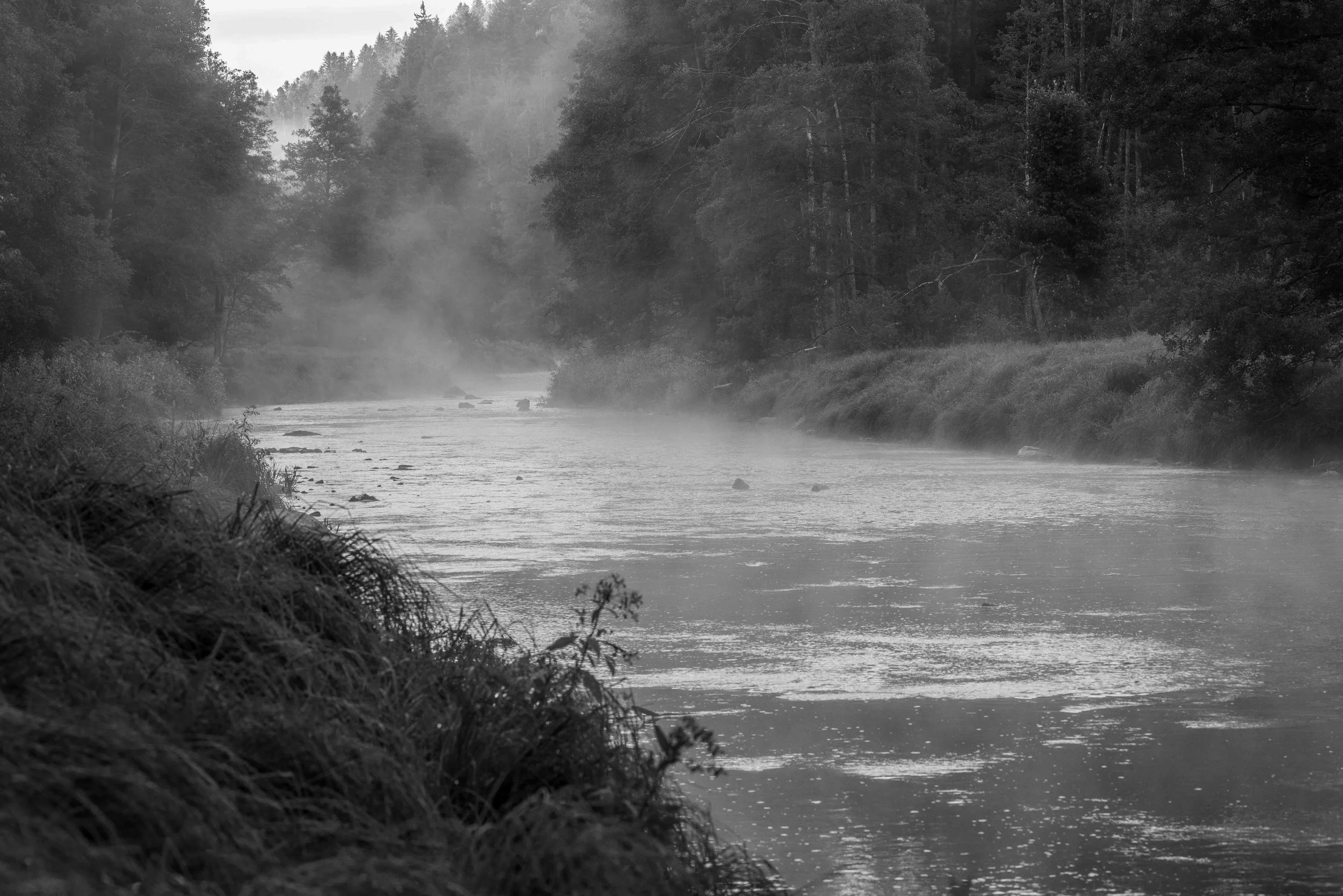 _14A0371-HDR.jpg