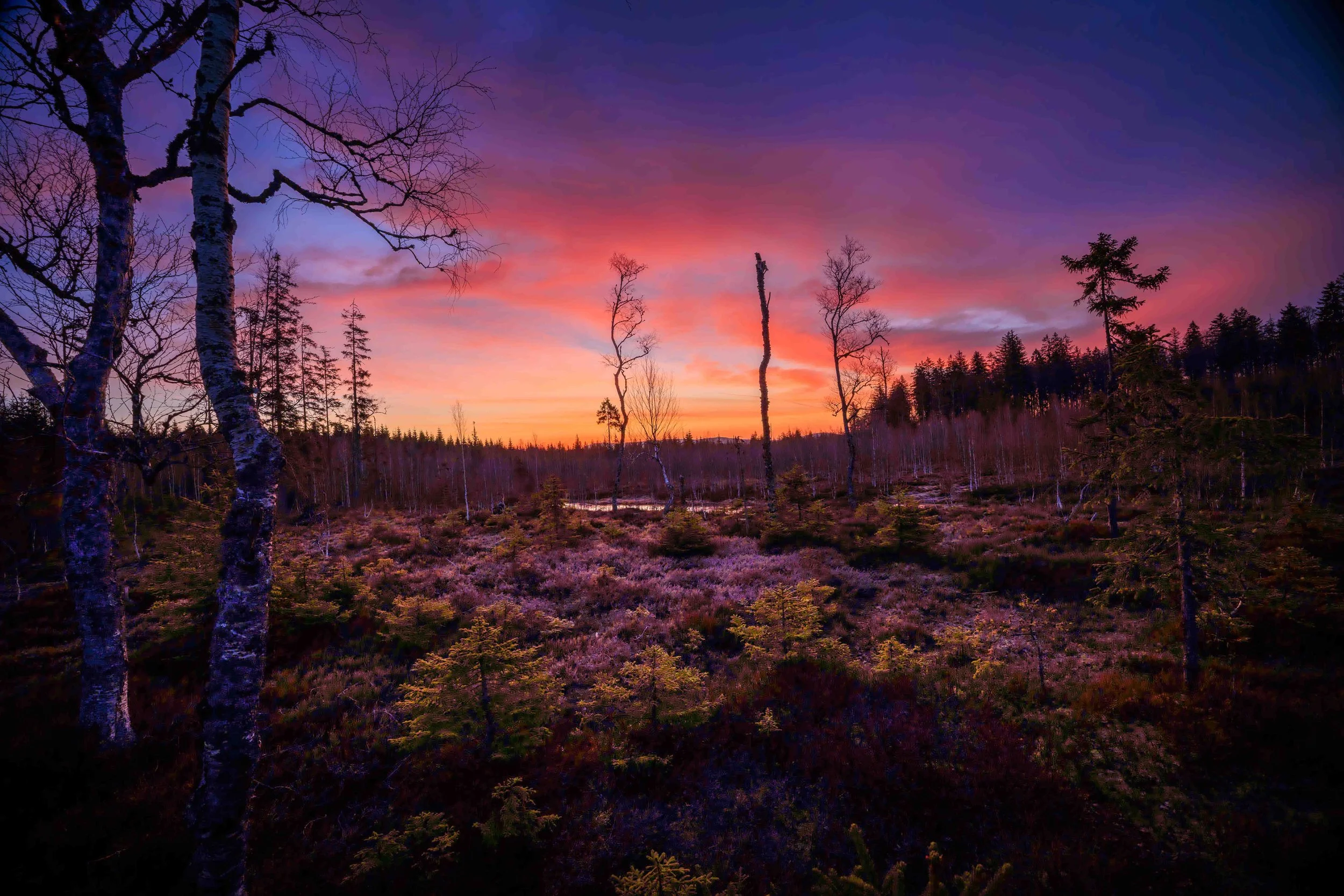 414A0080-HDR-Verbessert-RR.jpg