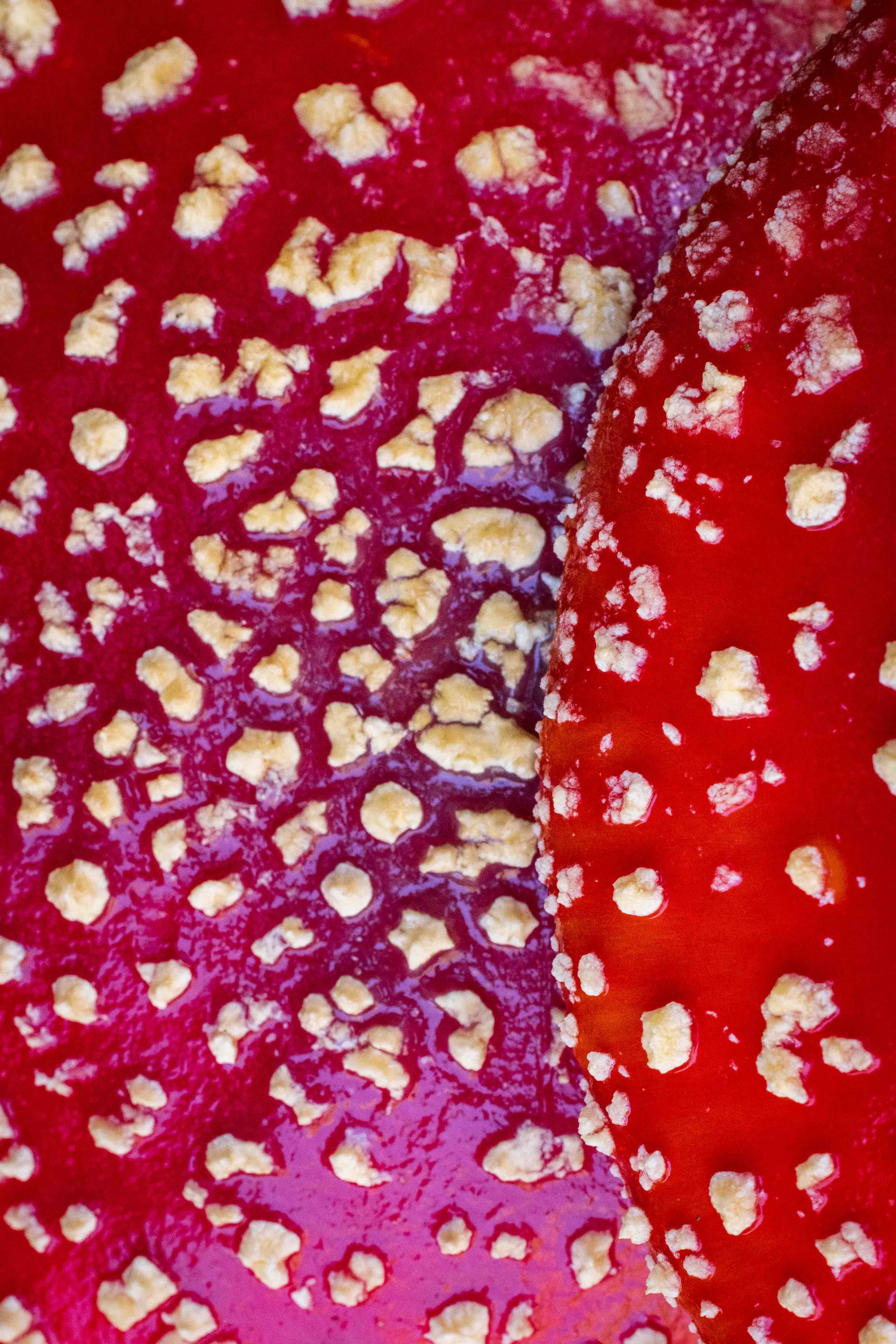 414A3230.jpg