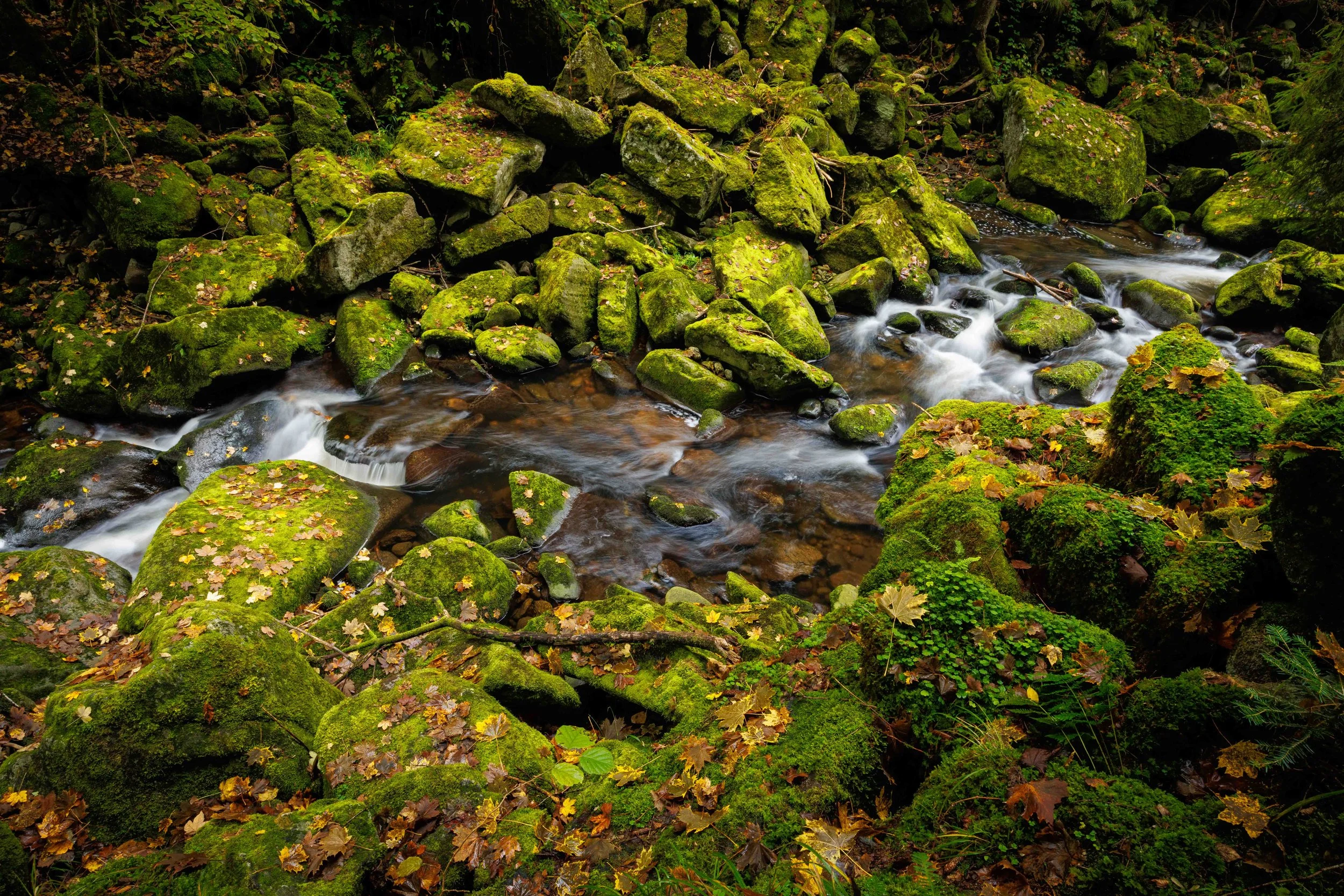 Herbst und wilde Wasser