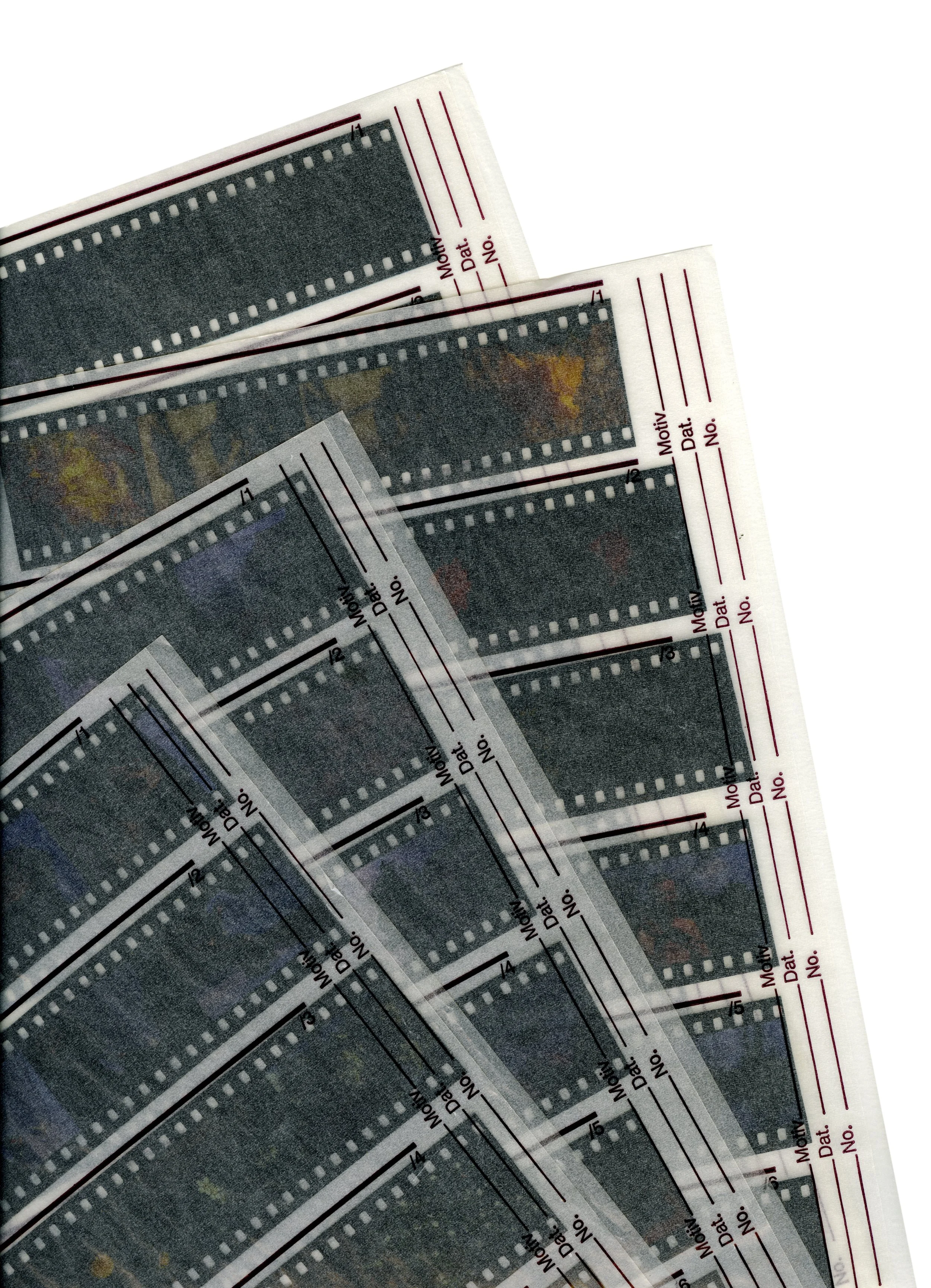 Close-up of several attached photographic film strips with a white background.