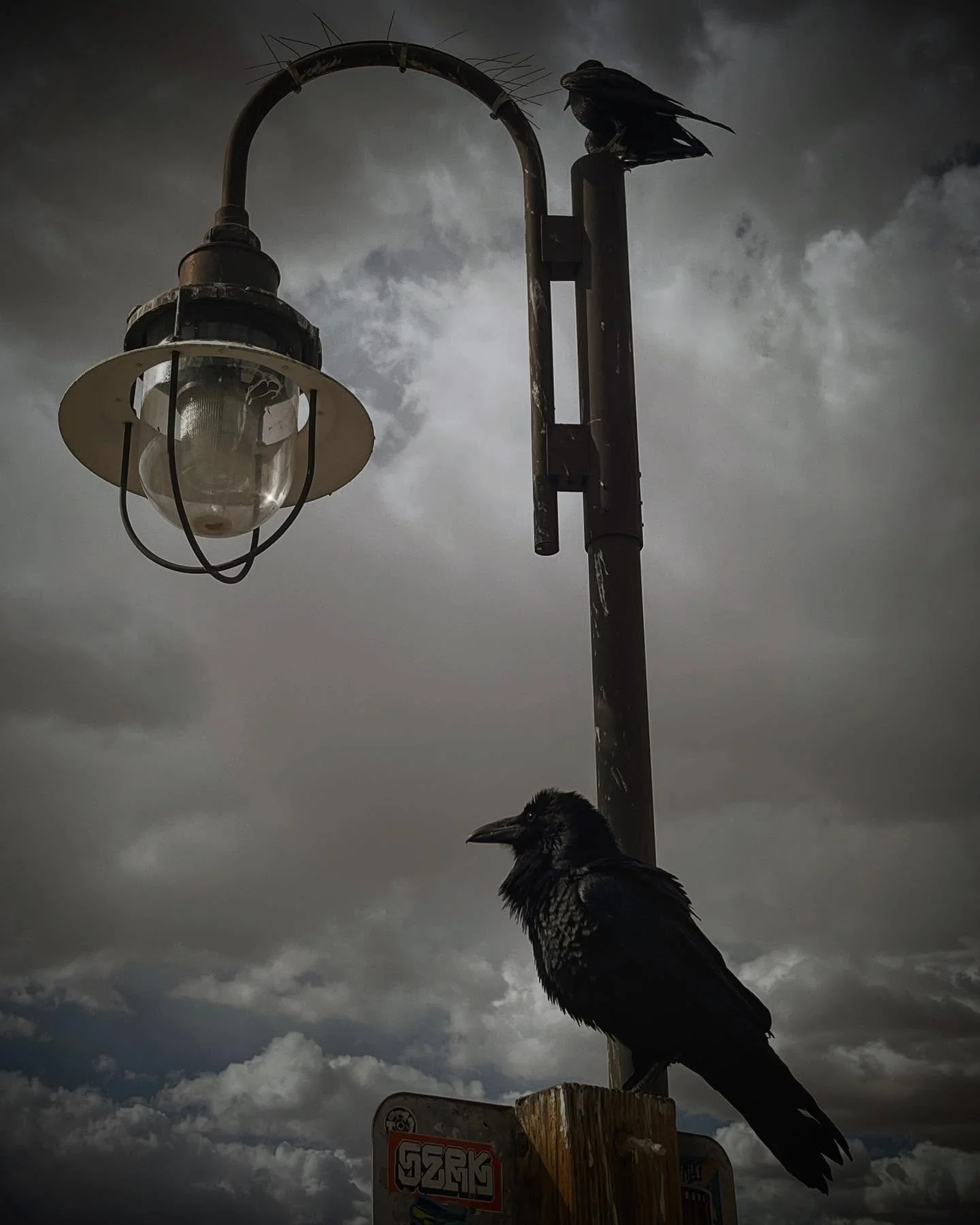Crafty Crow!

Feels like it&rsquo;s by the sea, but it&rsquo;s not. 

#crows #crowsofinstagram #stormyskies #stormyweather #mojavedesert #reststop #lightpost #lightpole #perched