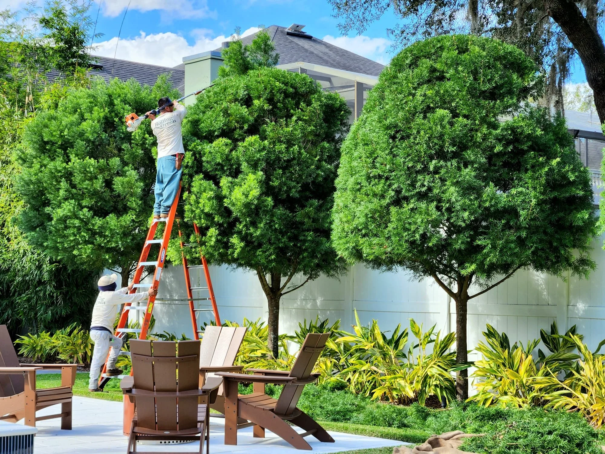 A person holding a ladder in support of a person on the top of the ladder, trimming a large tree in a person's back yard.