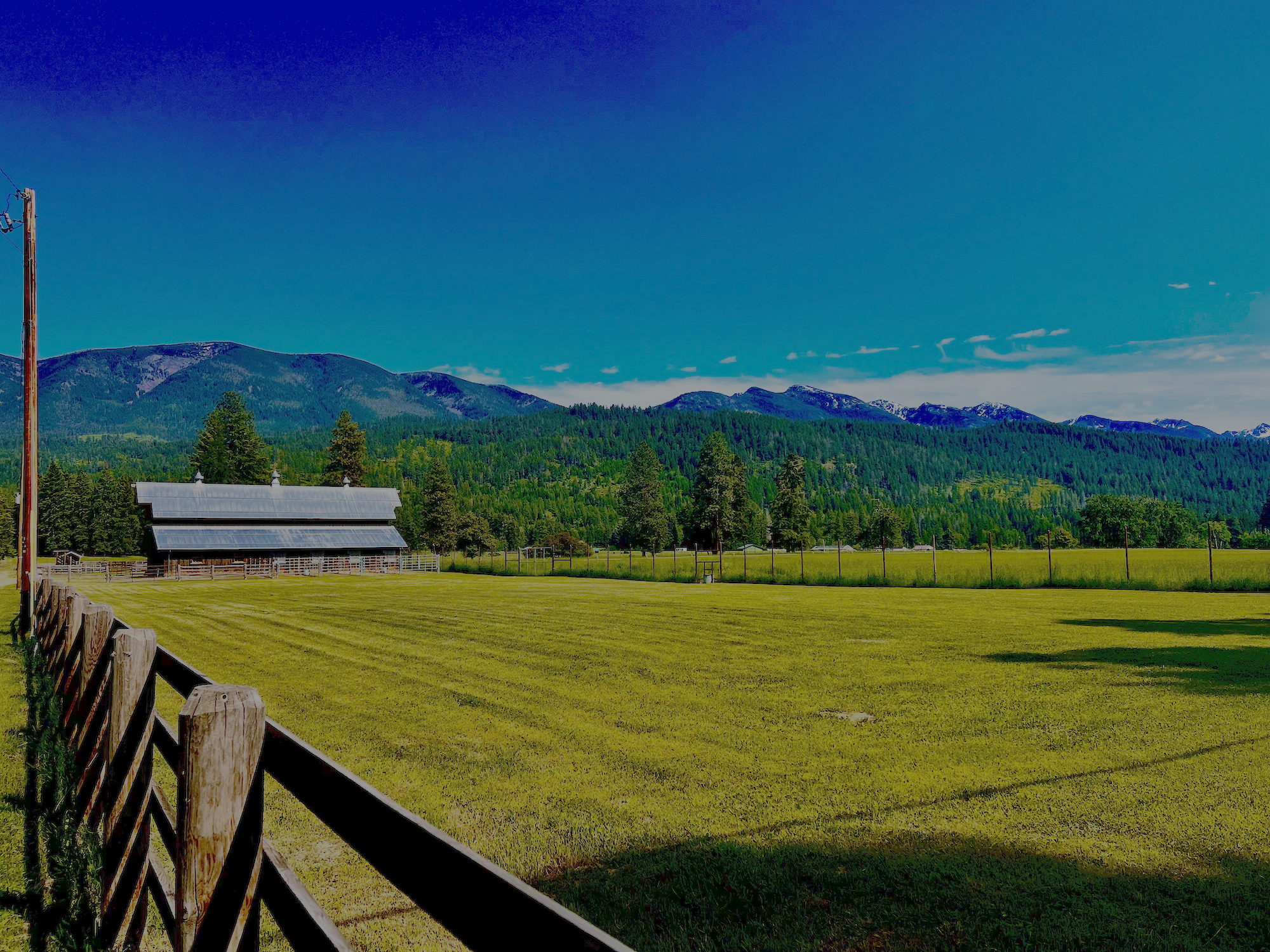 A rural landscape with a yellow field, a wooden farm building, green trees, forested mountains, and a blue sky.