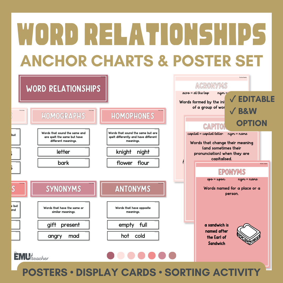 Word Relationship Posters | Rosy Haze