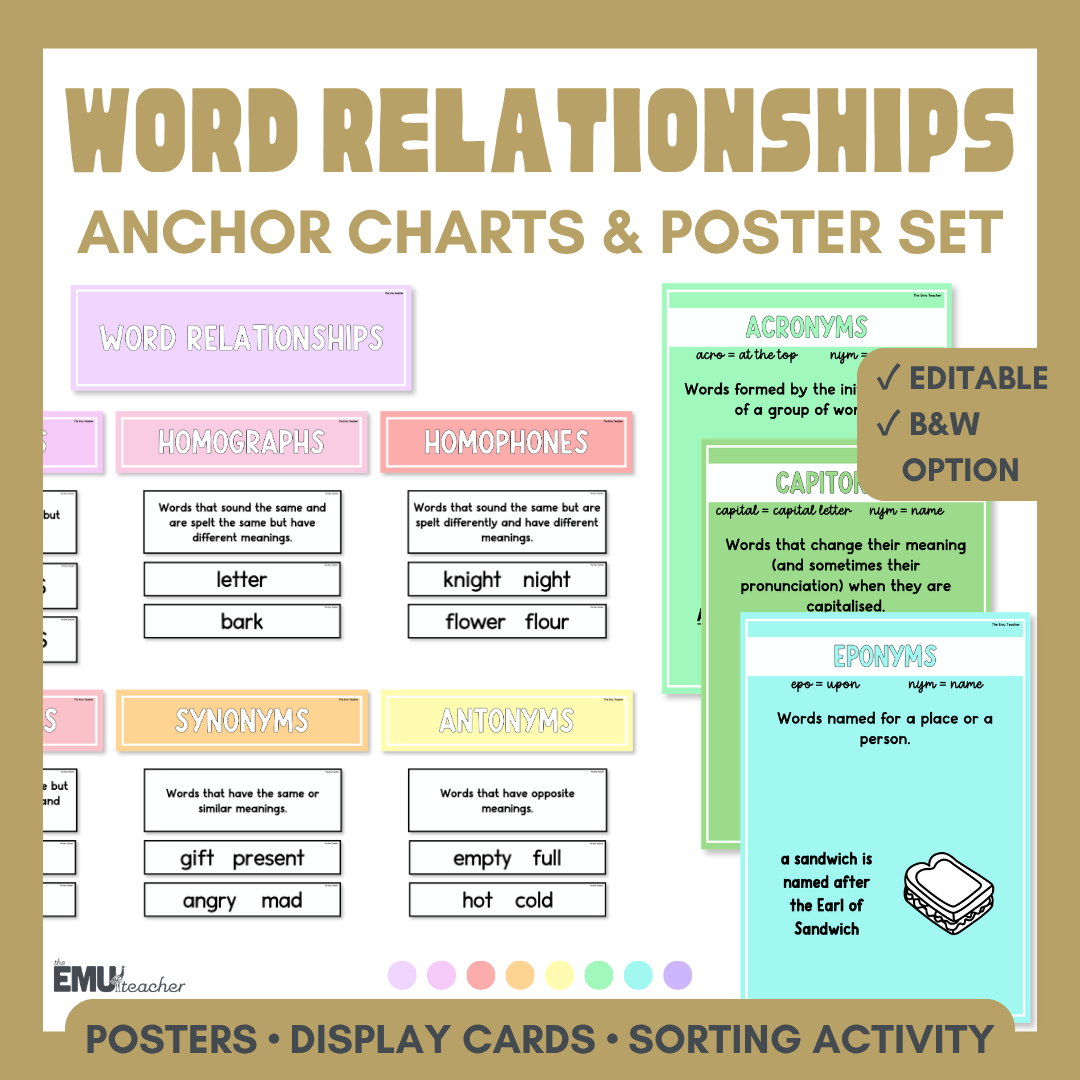 Word Relationships Vocabulary Anchor Chart & Poster Set | Lights