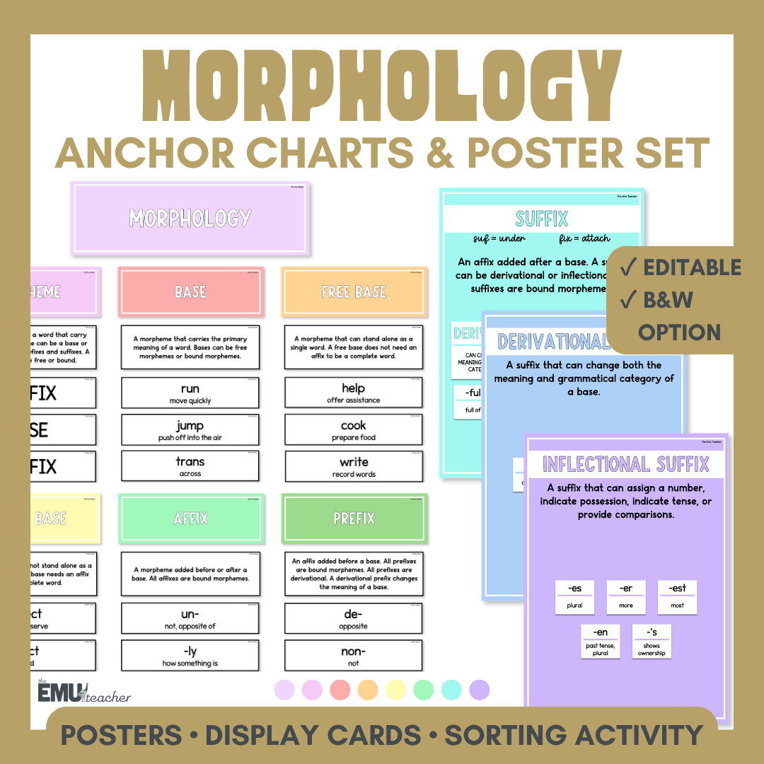 Morphology Anchor Chart & Poster Set | Lights