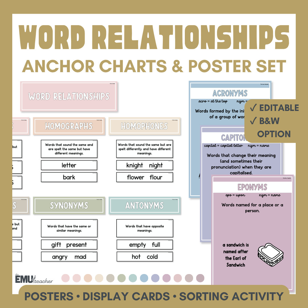 Word Relationship Vocabulary Anchor Chart & Poster Set | Boho