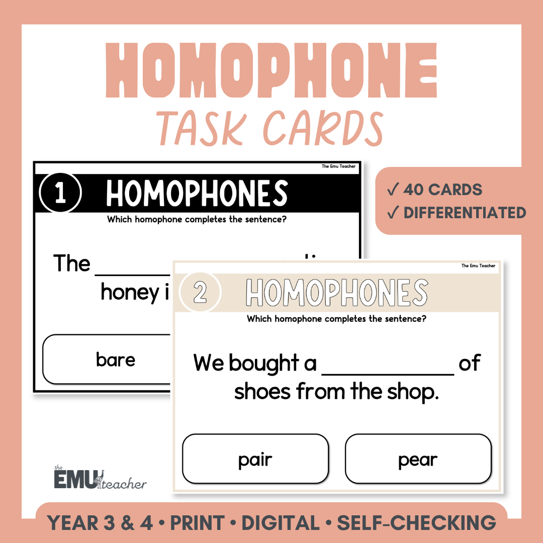 Homophone Task Cards