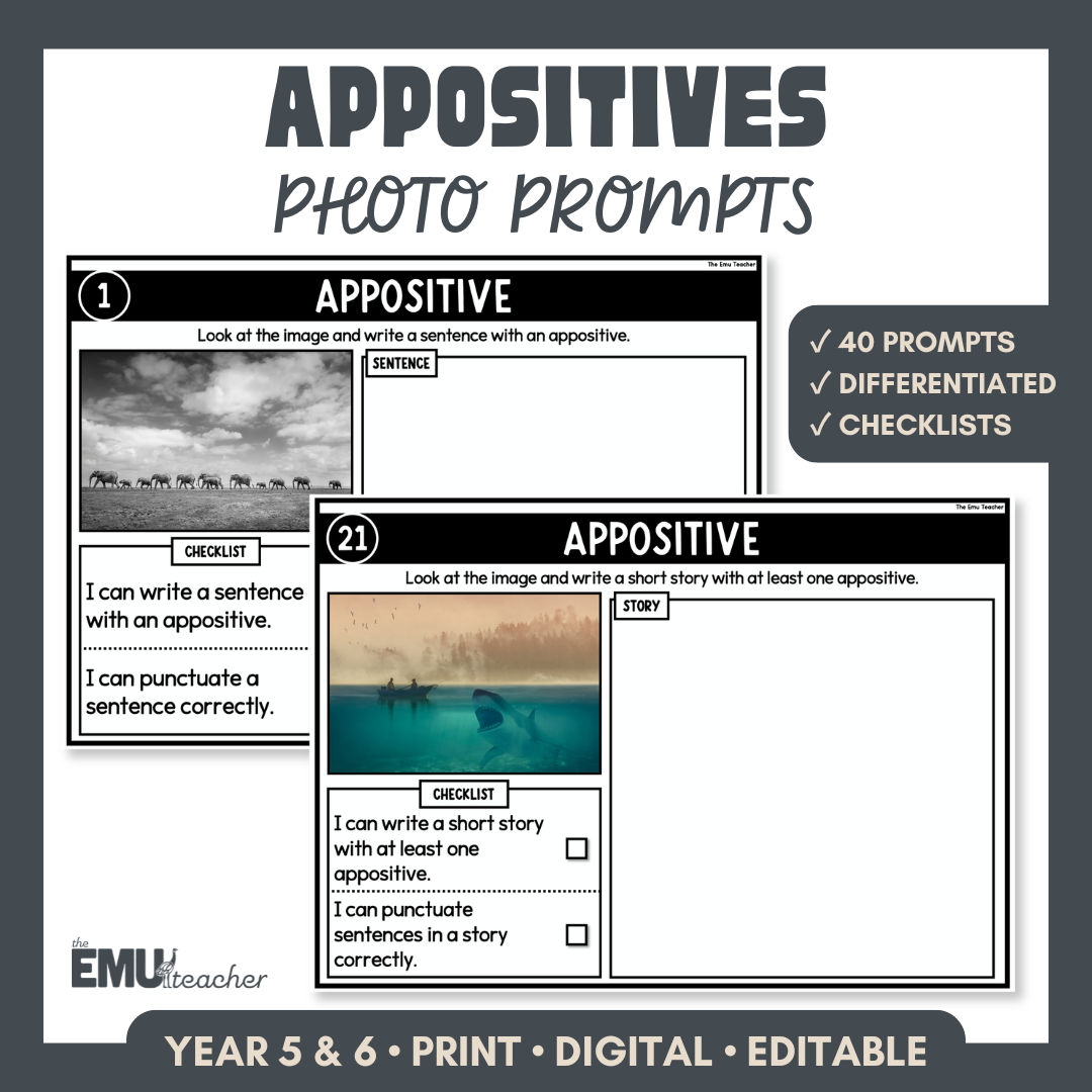 Appositive Picture Prompt Cards | Grammar Activities & Sentence Writing