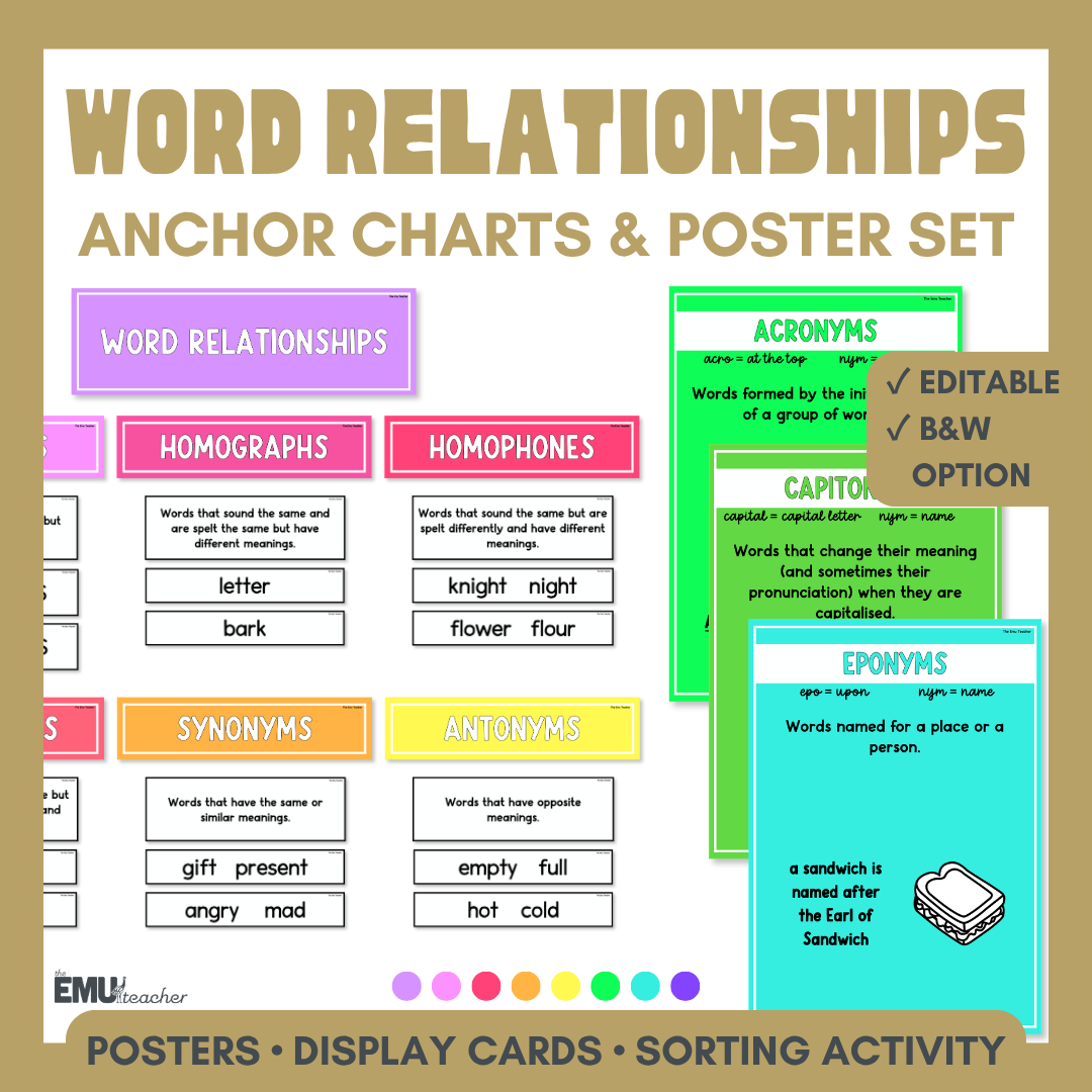 Word Relationships Vocabulary Anchor Chart & Poster Set | Brights