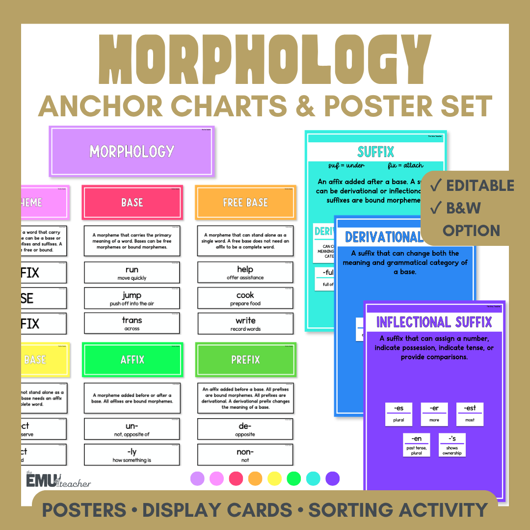 Morphology Anchor Chart & Poster Set | Brights