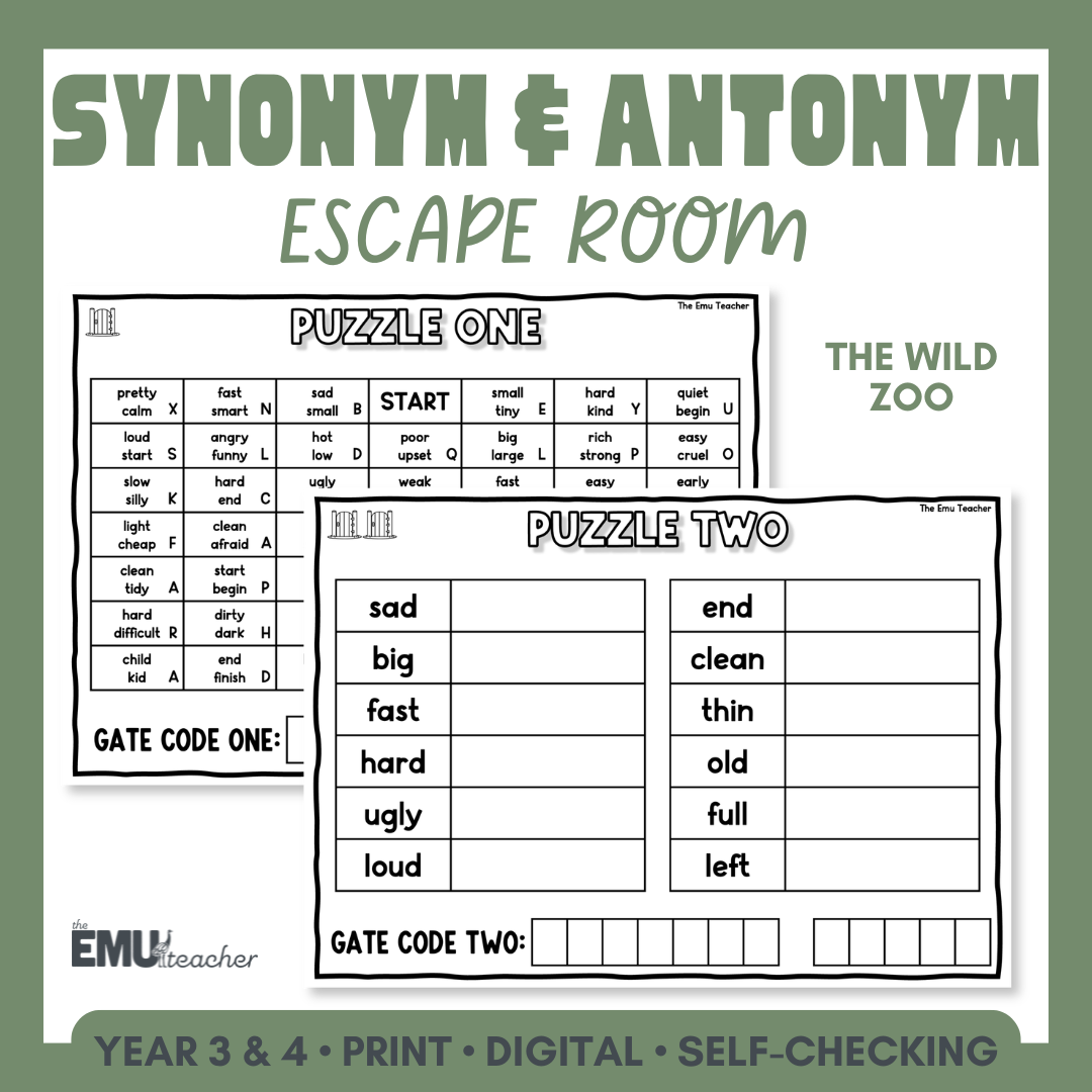 Synonym and Antonym Escape Room