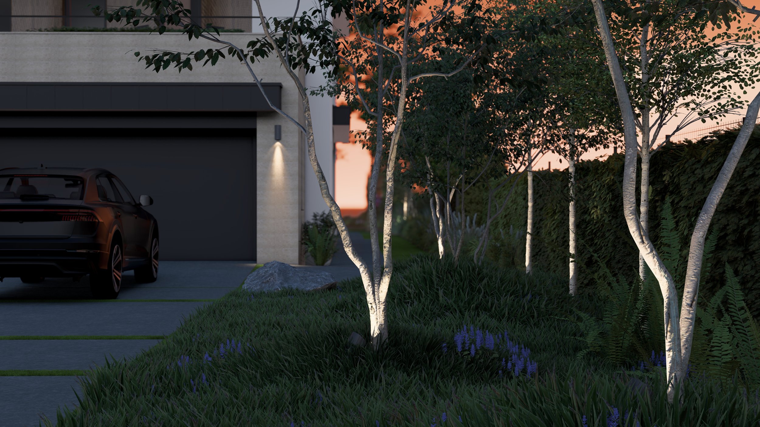 Platanus_03