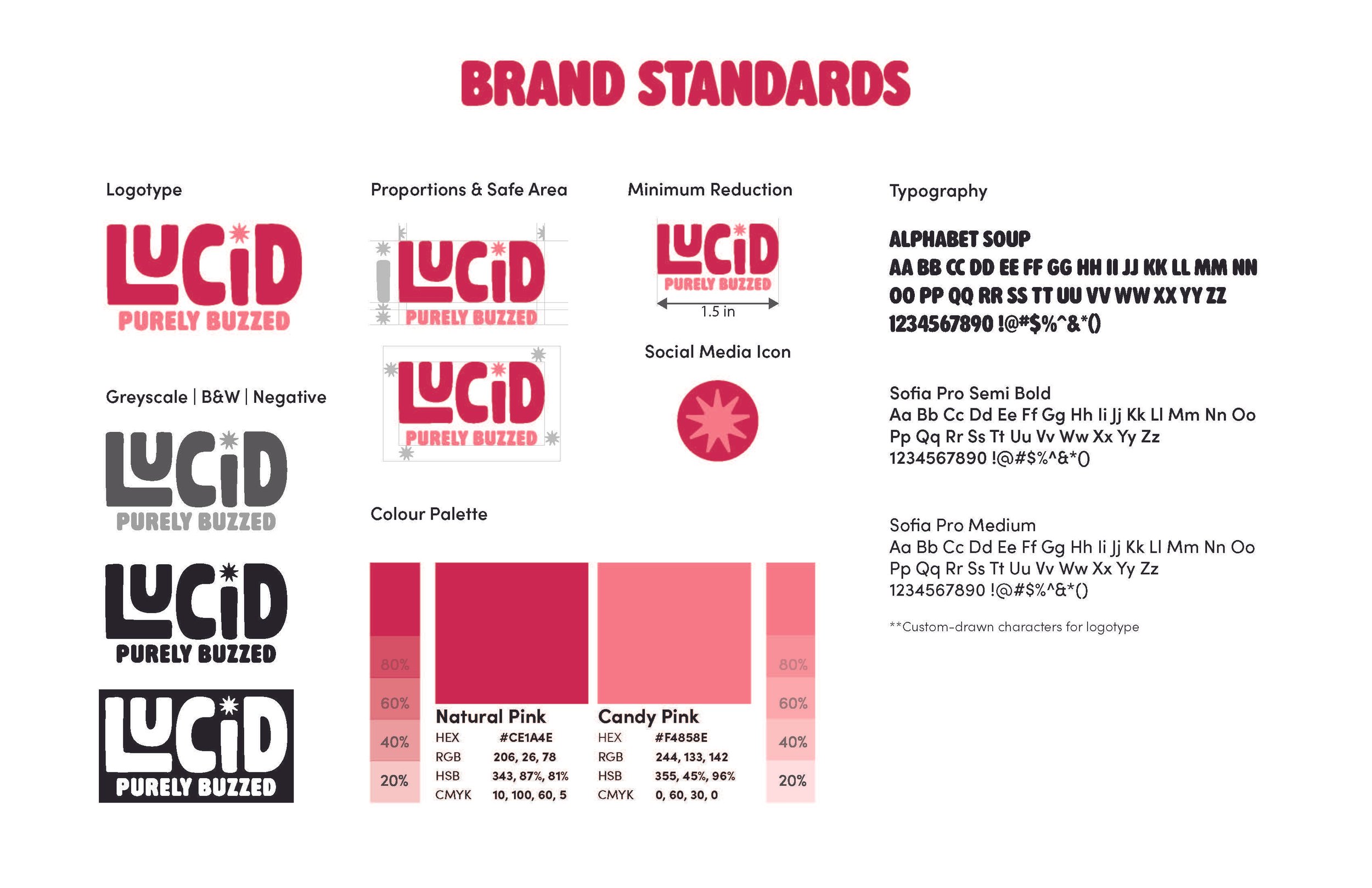 Shanelle_CandyBrandPresentation copy_Page_3.jpg