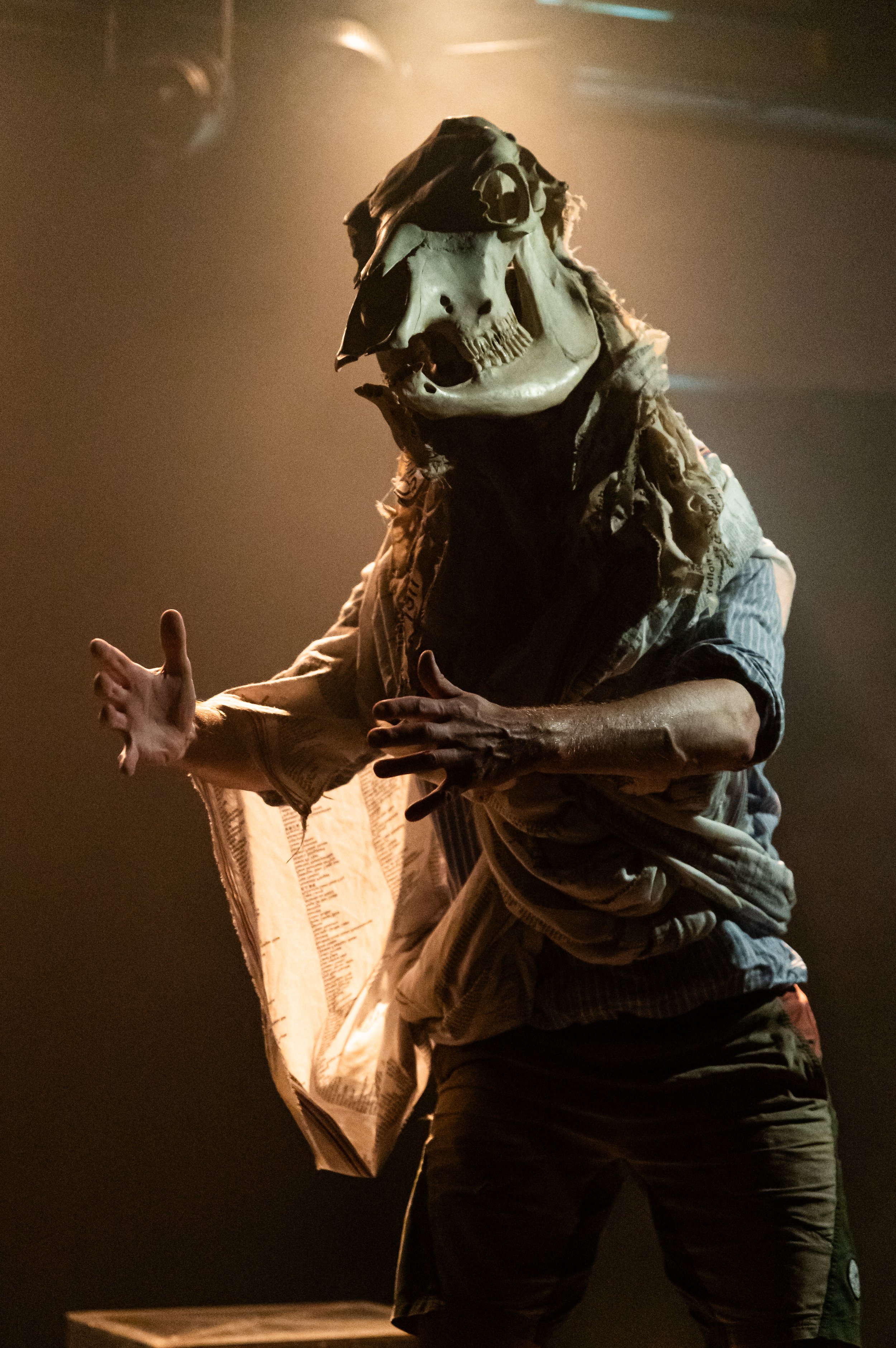 WILDTHING_SUMMERHALL_2025_TiuMakkonen_HighRes-9.jpg