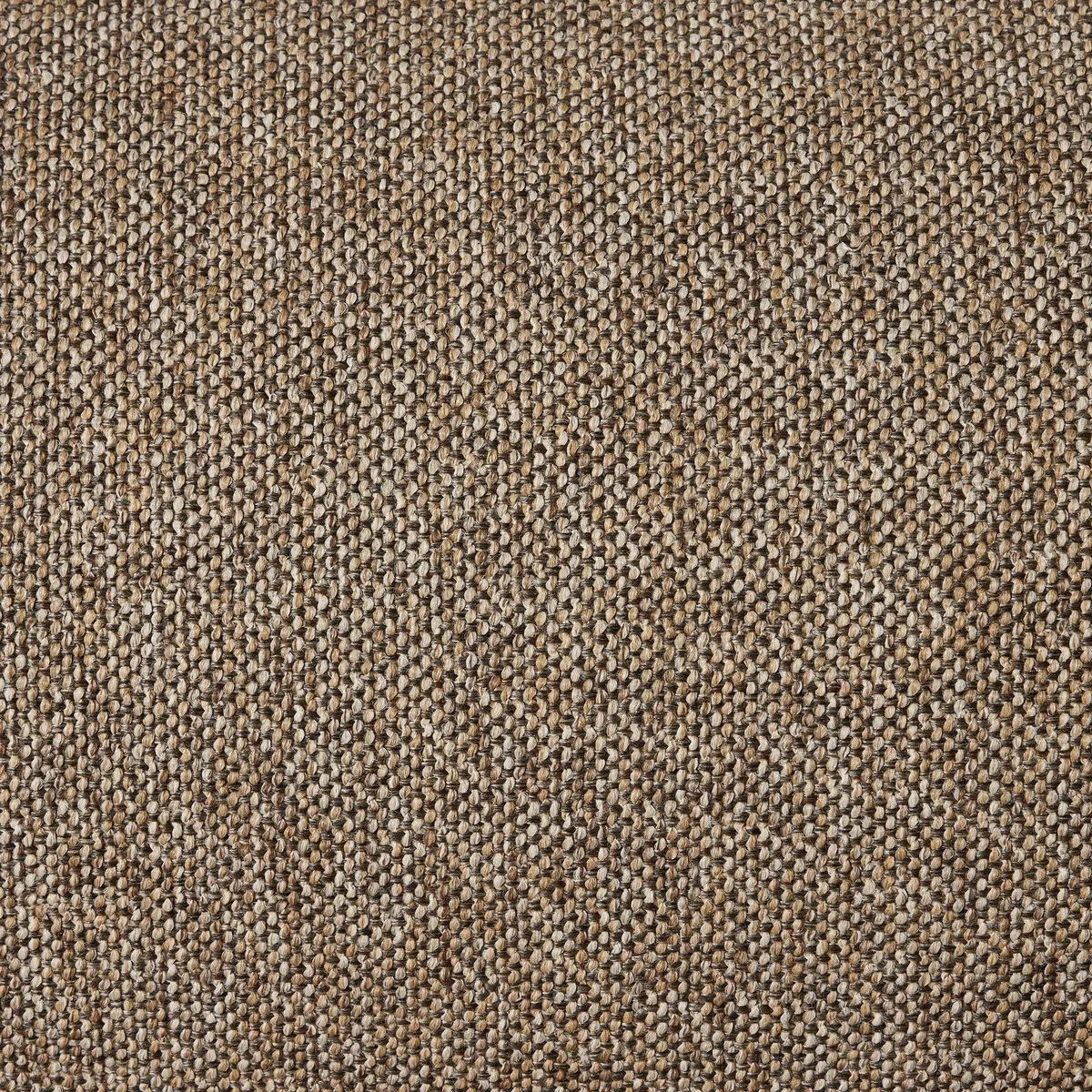 241215-002_DET_2.jpg