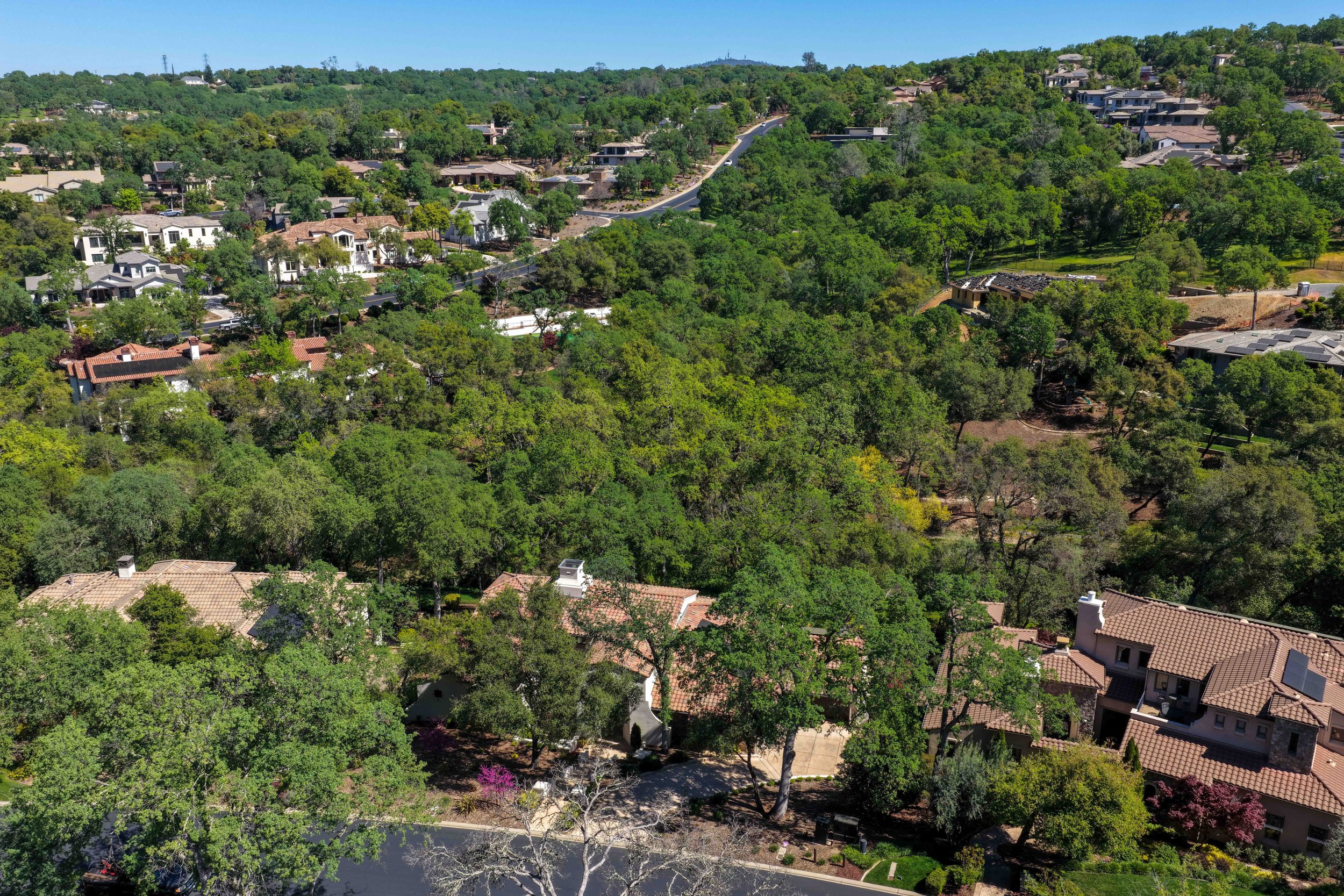 An aerial view of a residential neighborhood surrounded by dense green trees on a sunny day.