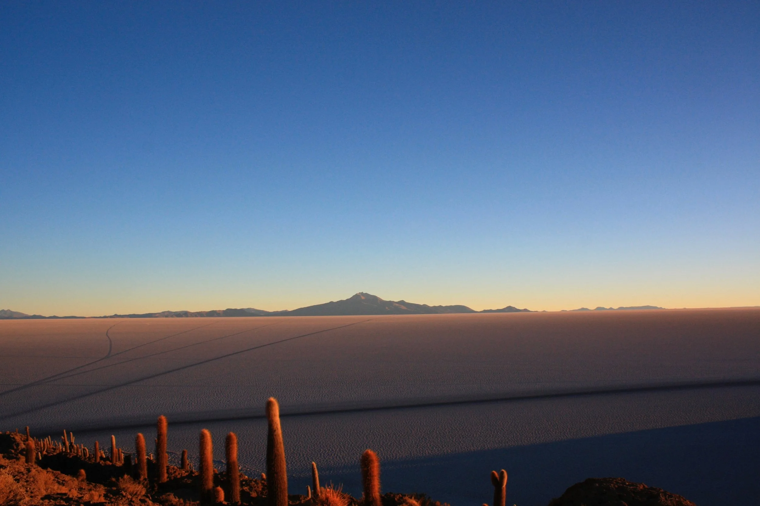 A vast desert landscape with desert flora, including cacti, in the foreground. Expansive sand dunes extend toward the horizon, with mountains in the distance under a clear, blue sky.