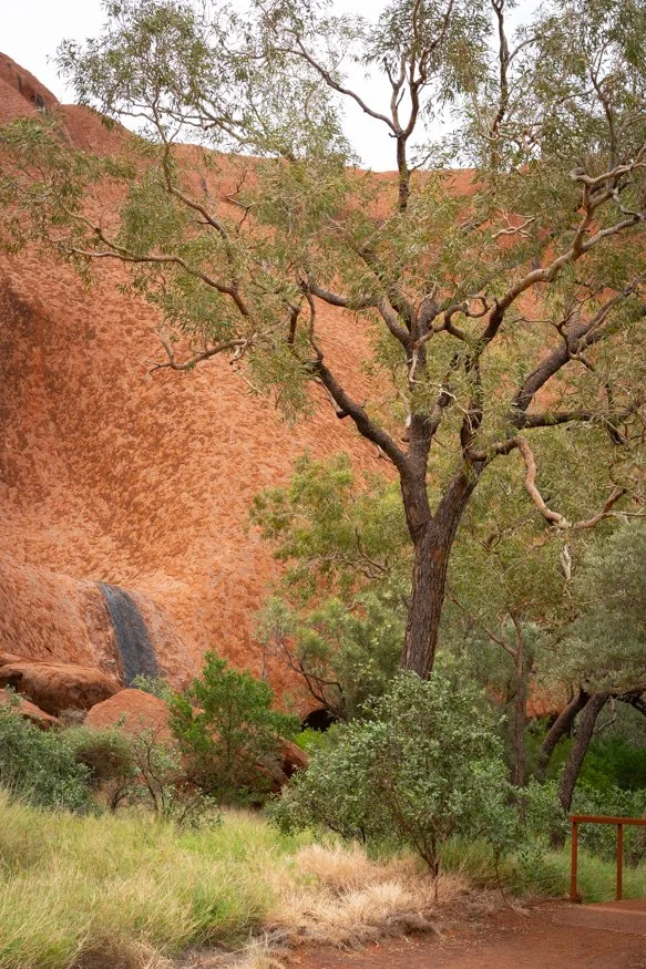 journal-uluru-area-3.jpg