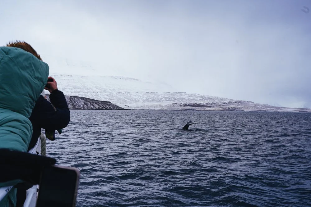 iceland-studio-koke-travel-4.jpg