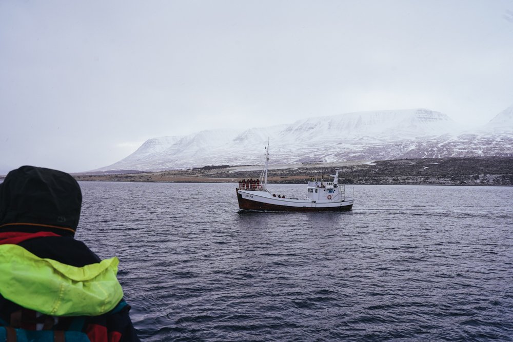 iceland-studio-koke-travel-6.jpg