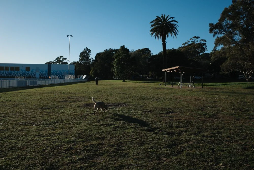 daily-blog-studio-koke-manly-sydney-27.jpg