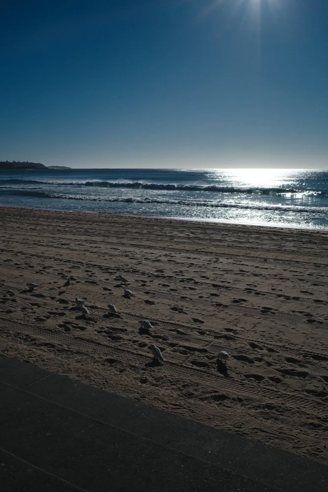 daily-blog-studio-koke-manly-sydney-9.jpg