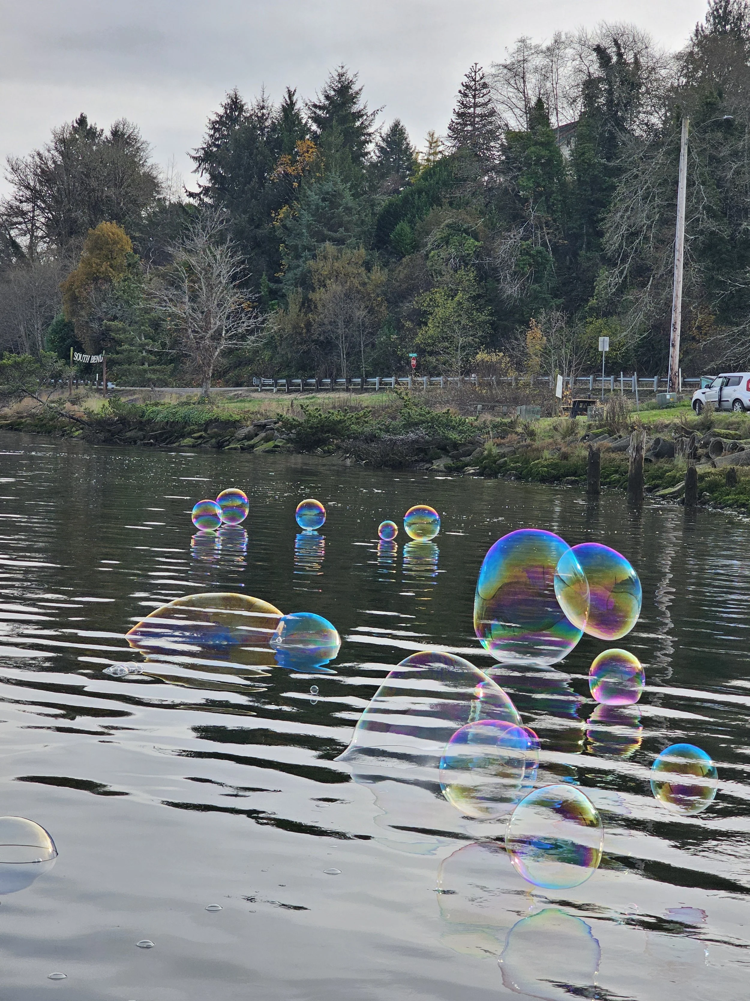 20241108_145301.jpg
