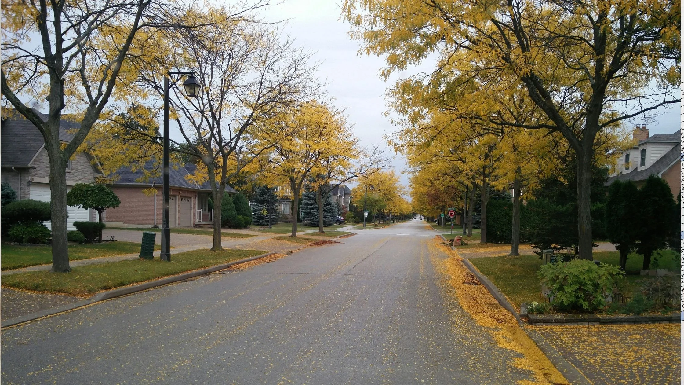 Fall Real Estate Market Outlook