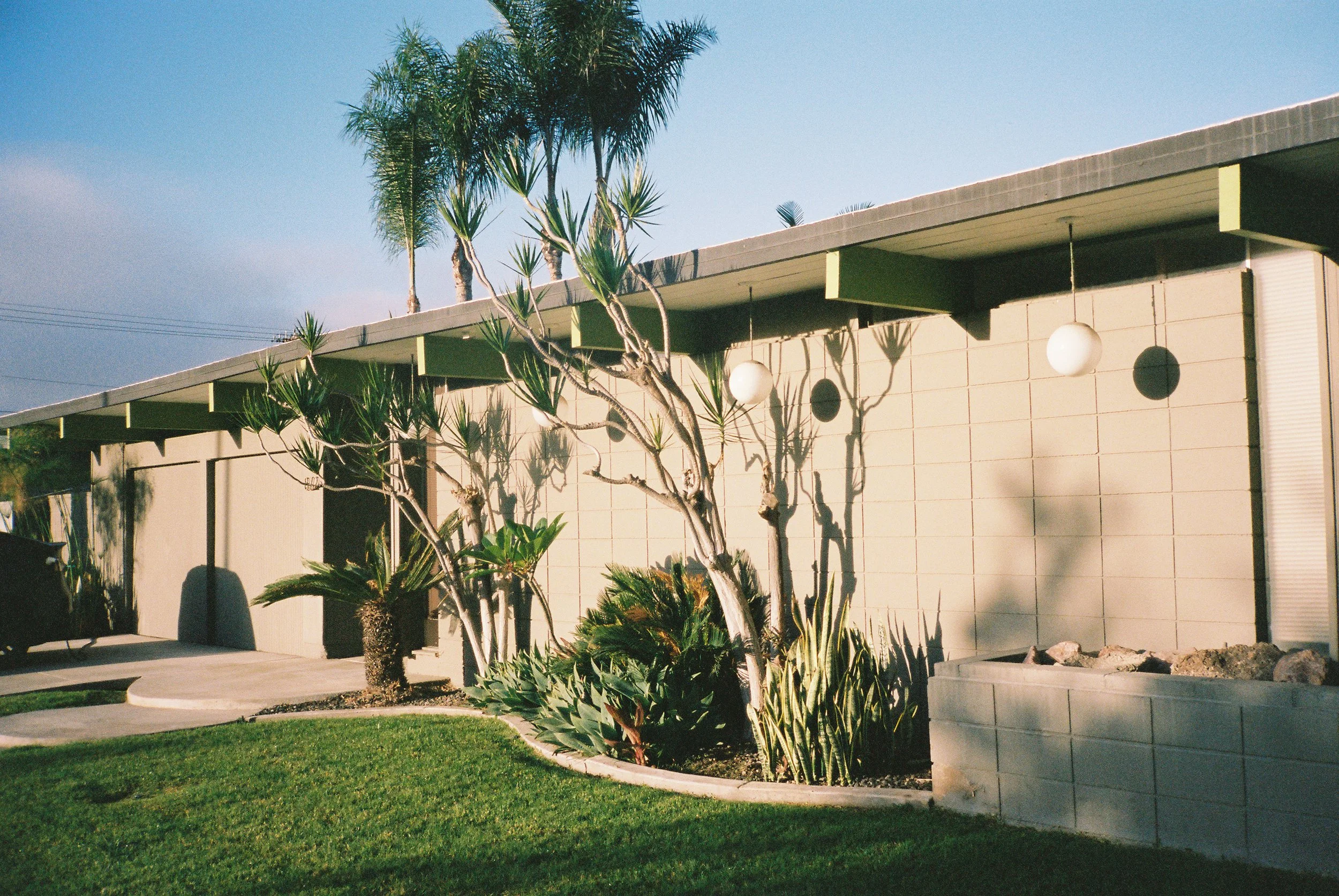 A mid-century modern house with a flat roof and light-colored brick exterior, surrounded by manicured grass and desert plants, including tall palms and a dragon tree, under a clear blue sky.