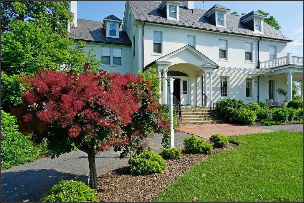 A large white house with a steep roof and multiple dormer windows, surrounded by a green lawn and manicured bushes. A prominent pink flowering bush is in the foreground, and the house has a front porch with steps and a black handrail.