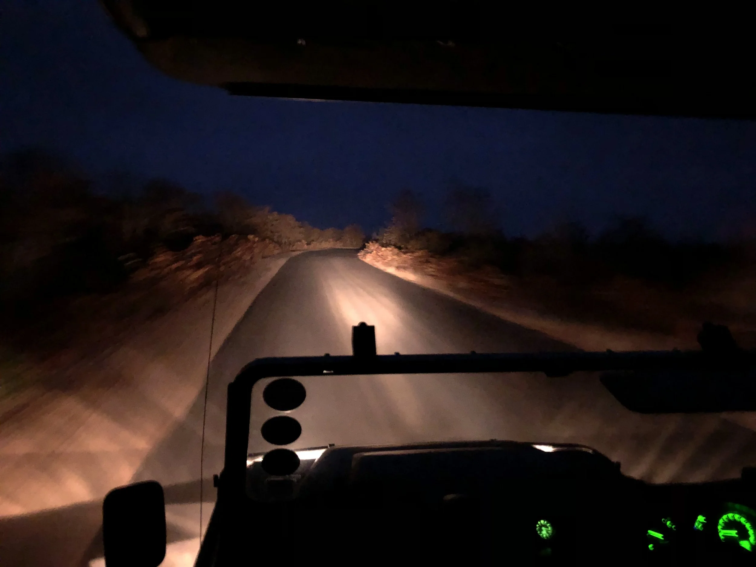 Il nostro primo safari in Africa