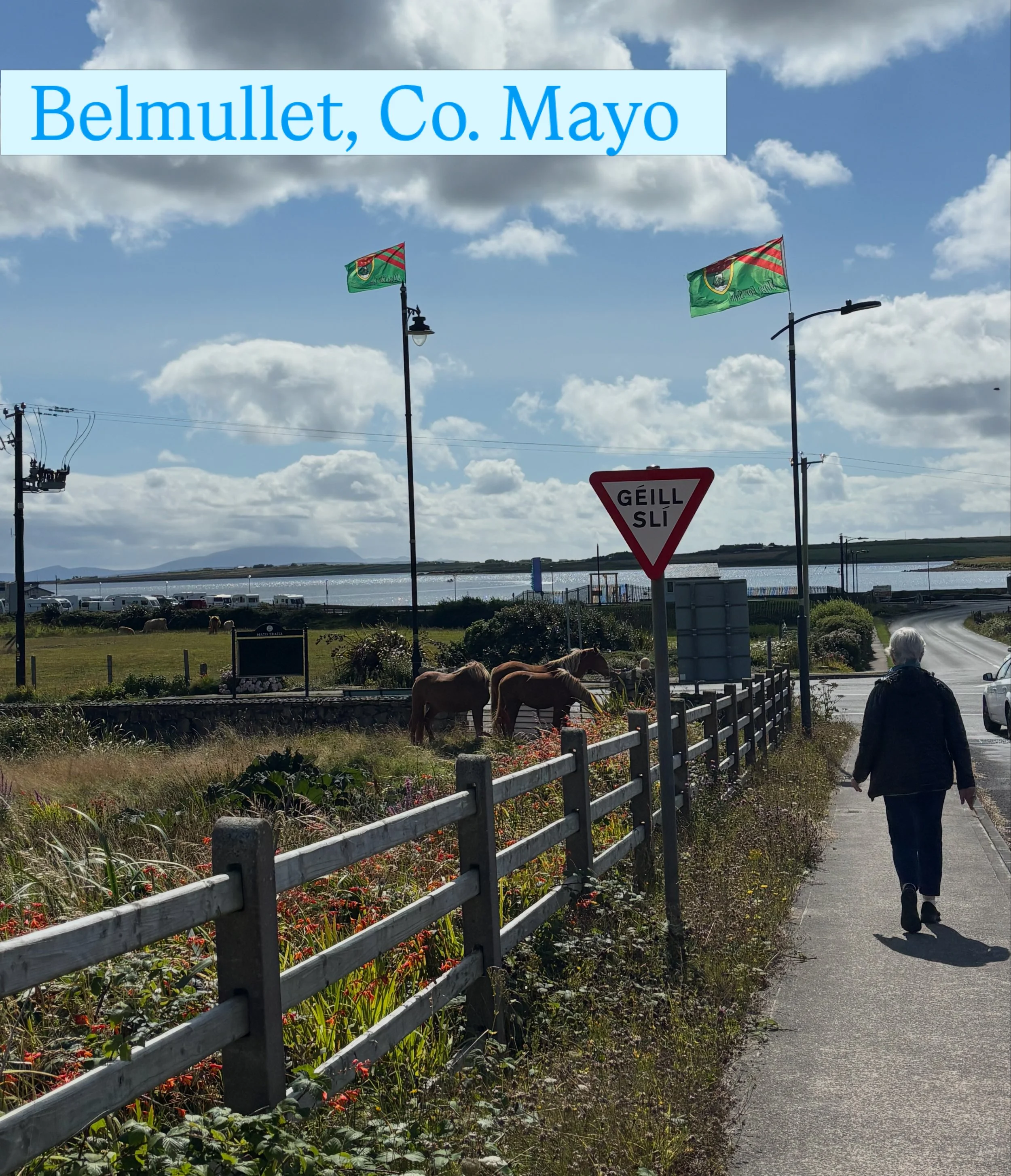 A roadside scene in Belmullet, County Mayo, Ireland, with cloudy sky, flags, street signs, horses grazing and a person walking along the sidewalk.