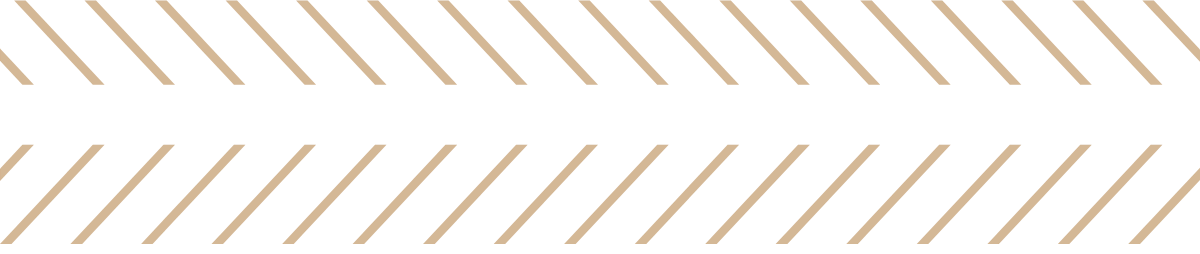Diagonal light-colored lines on a black background, with brownish-beige stripes evenly spaced along the lines.