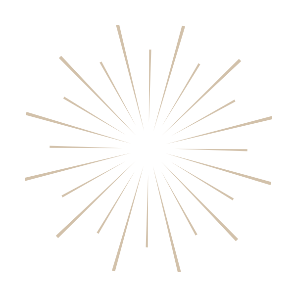 Illustration of a firework explosion with radiating lines on a black background.