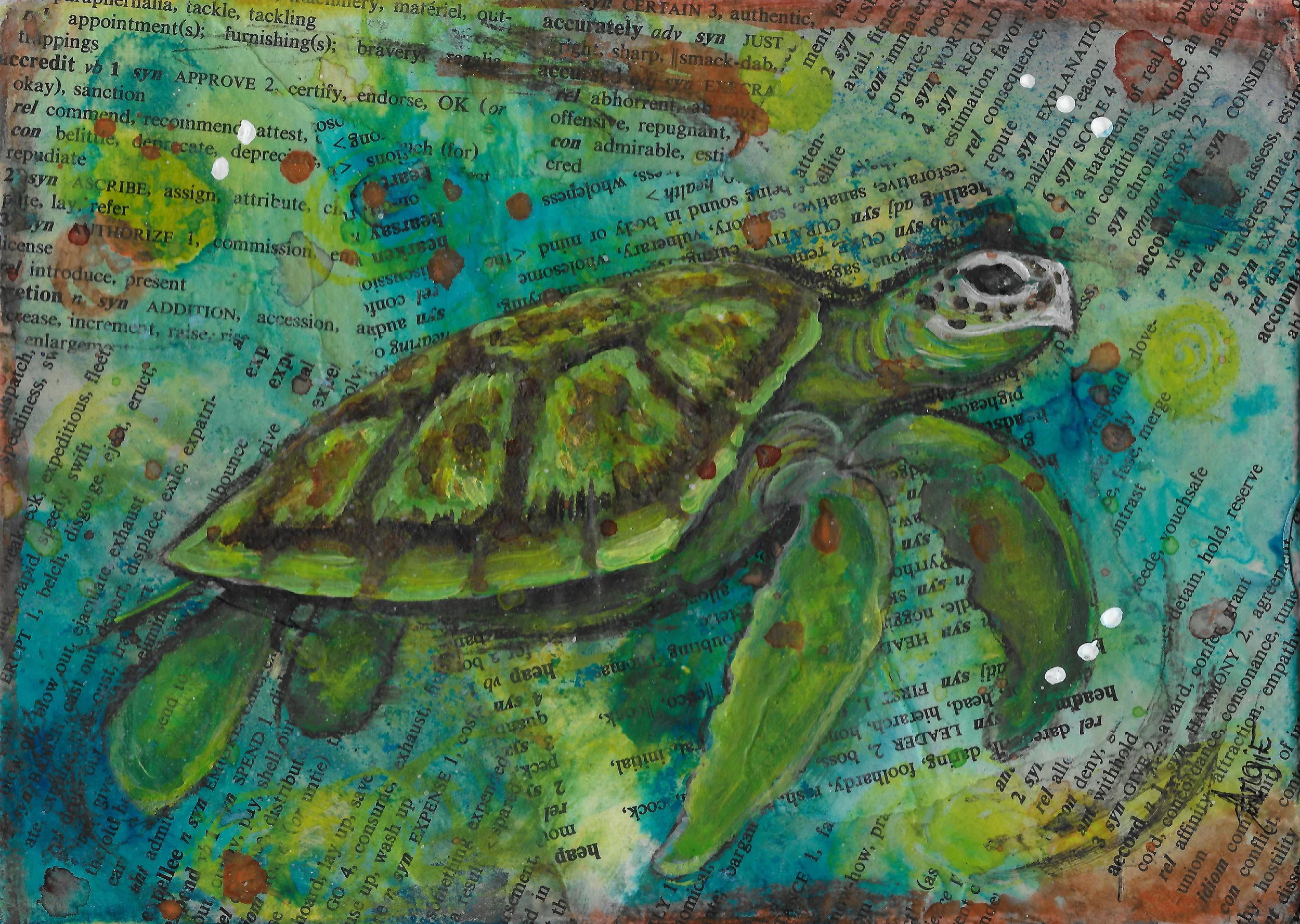 Yurtle.JPG