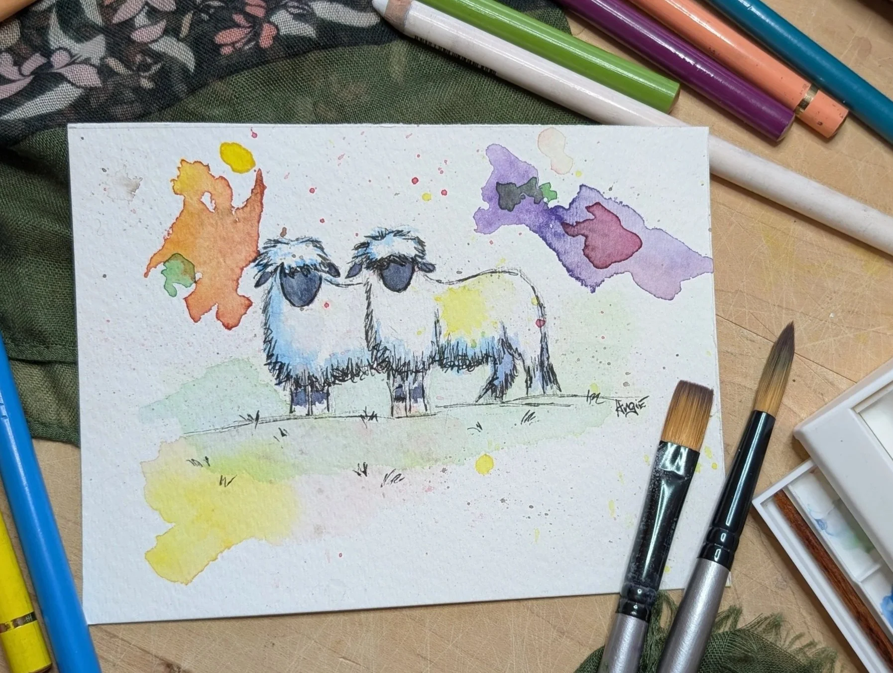sheep.jpg