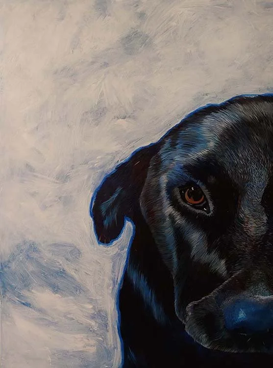Close-up of a black dog's face on a textured, light-colored background.