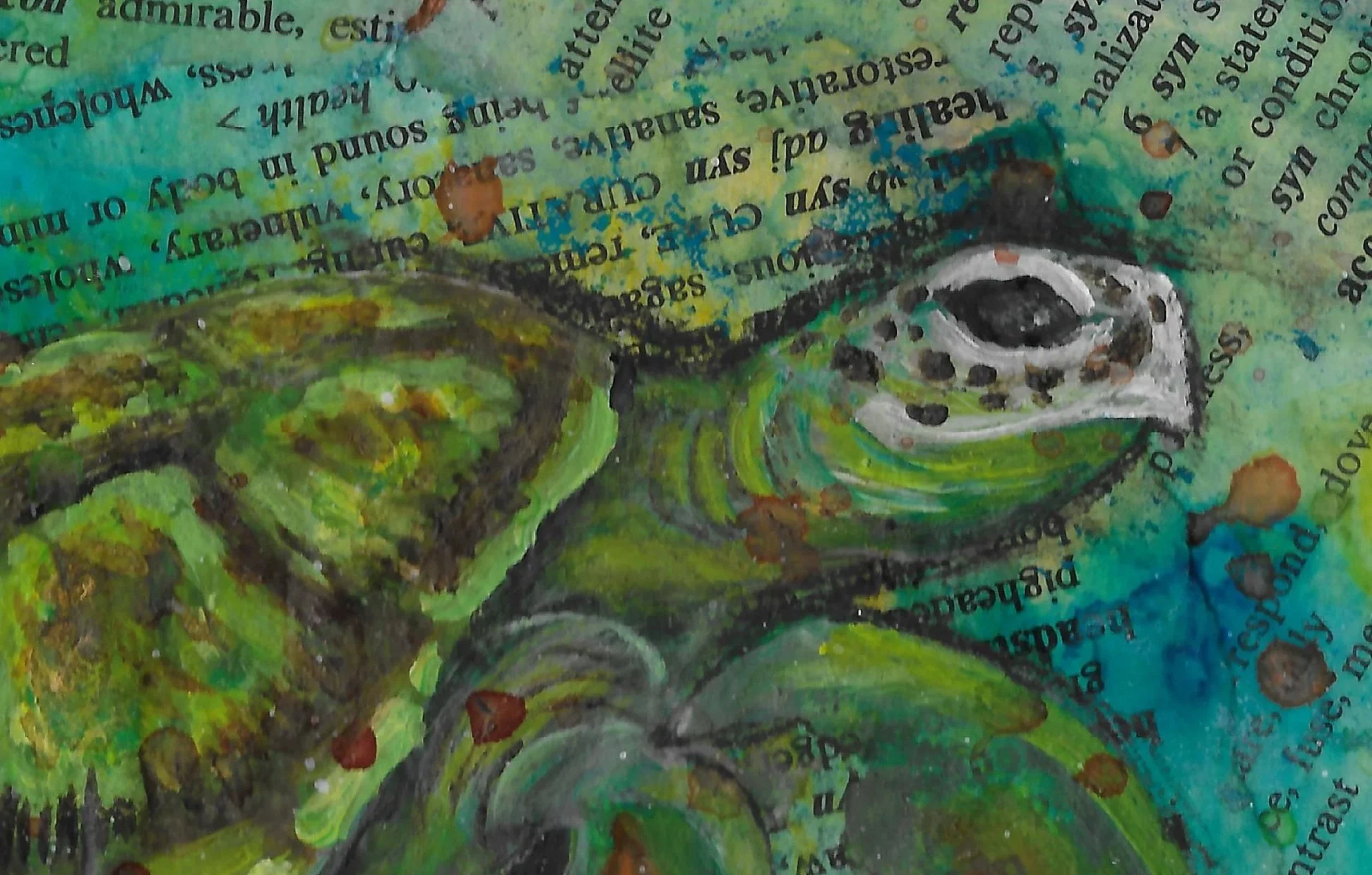 Yurtle+Closeup.jpg